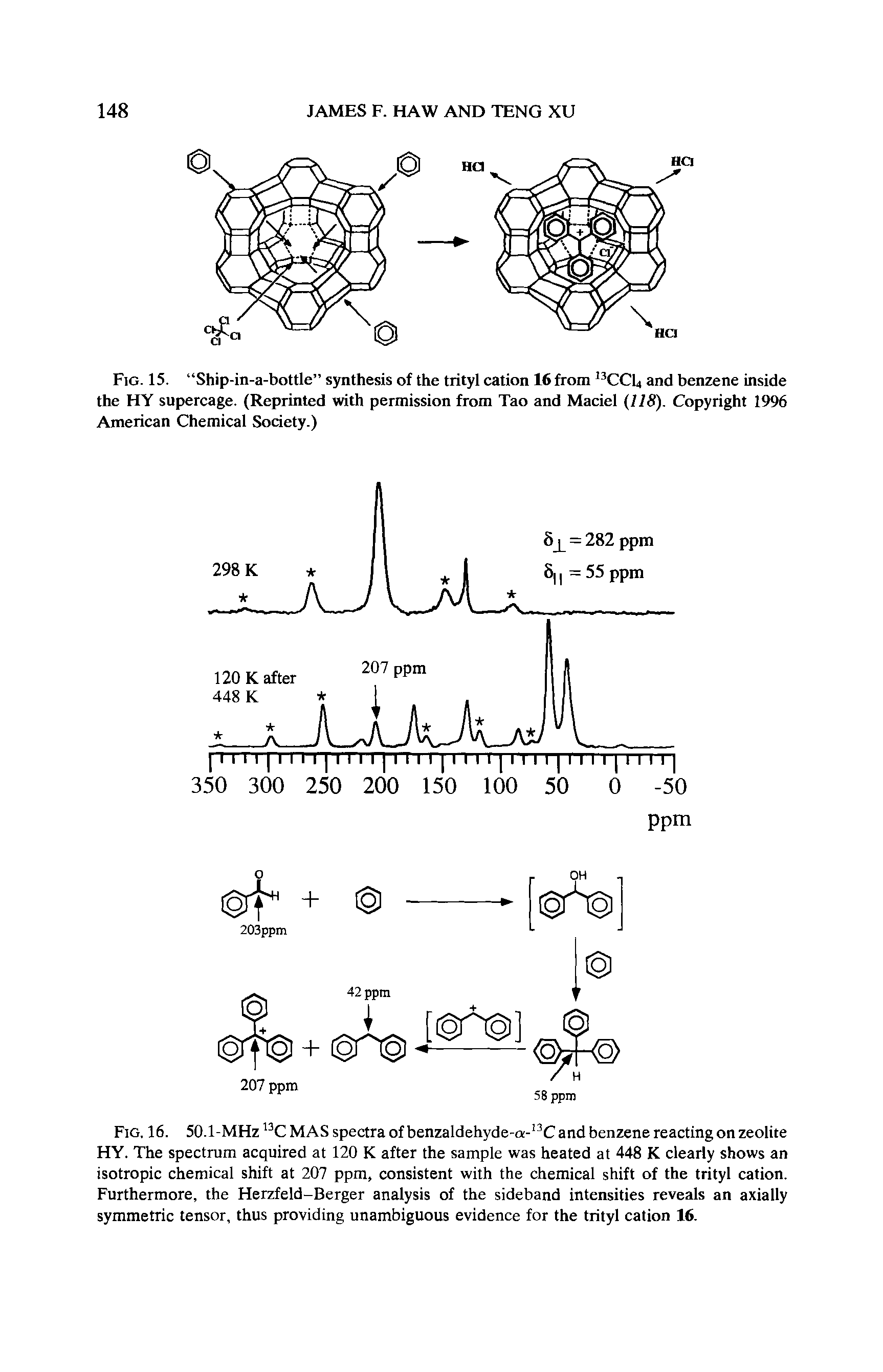 Fig. 15. Ship-in-a-bottle synthesis of the trityl cation 16 from 13CCU and benzene inside the HY supercage. (Reprinted with permission from Tao and Maciel (118). Copyright 1996 American Chemical Society.)...