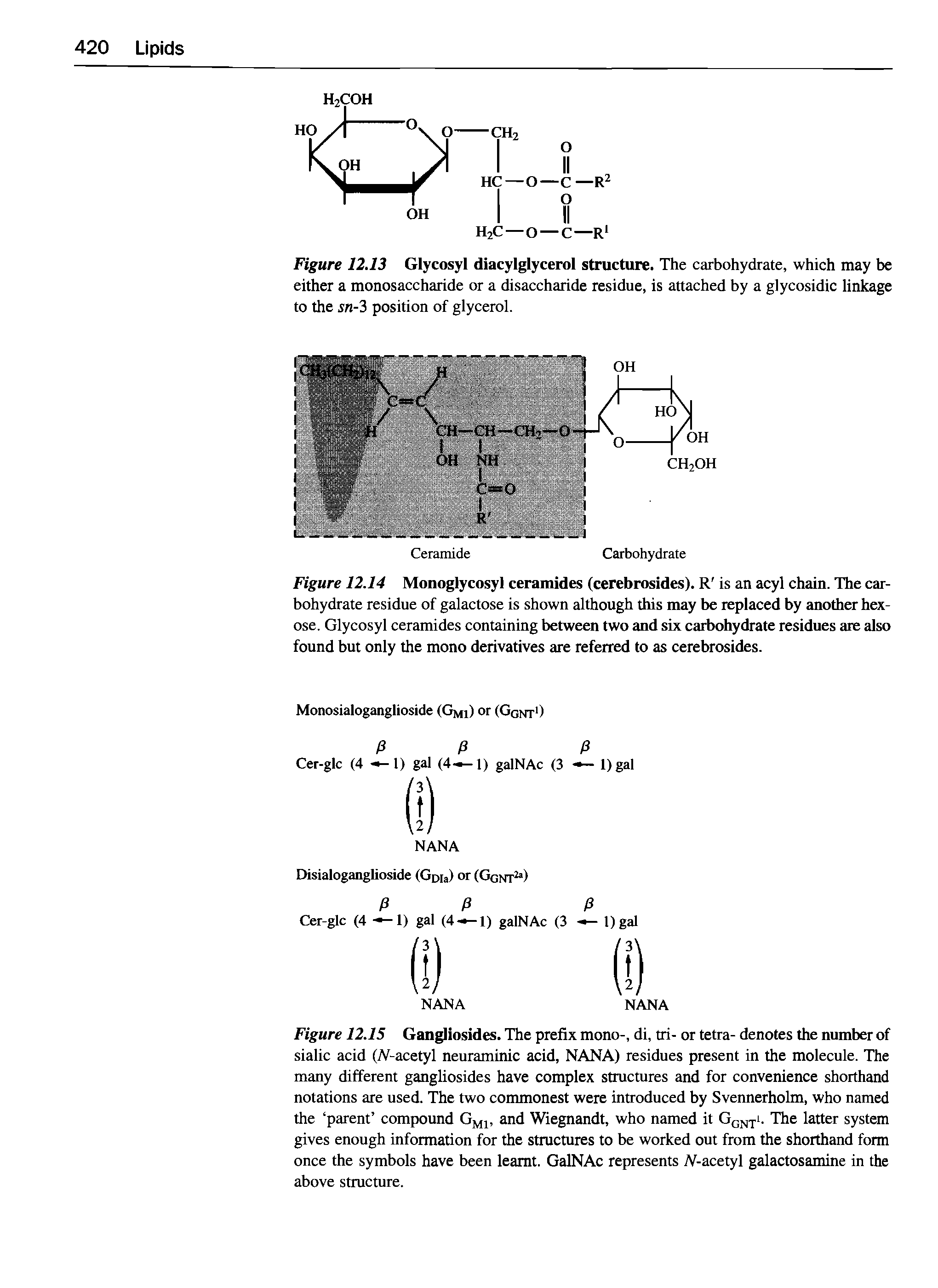 Figure 12.15 Gangliosides. The prefix mono-, di, tri- or tetra- denotes the number of sialic acid W-acetyl neuraminic acid, NANA) residues present in the molecule. The many different gangliosides have complex structures and for convenience shorthand notations are used. The two commonest were introduced by Svennerholm, who named the parent compound GM1, and Wiegnandt, who named it Ggnti. The latter system gives enough information for the structures to be worked out from the shorthand form once the symbols have been learnt. GalNAc represents N-acetyl galactosamine in the above structure.