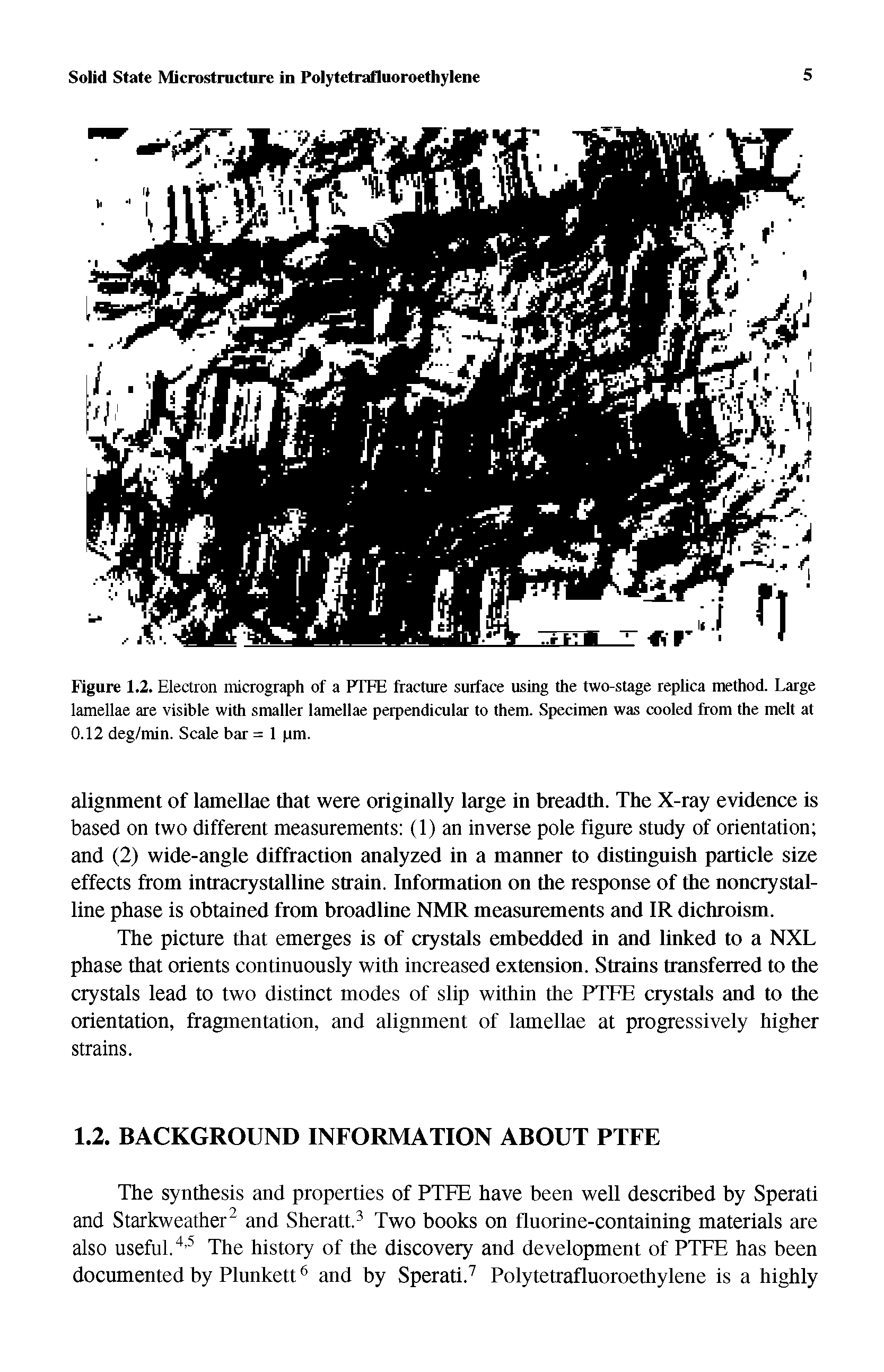 Figure 1.2. Electron micrograph of a RI FE fracture surface using the two-stage replica method. Large lamellae are visible with smaller lamellae perpendicular to them. Specimen was cooled from the melt at 0.12 deg/min. Scale bar = 1 pm.