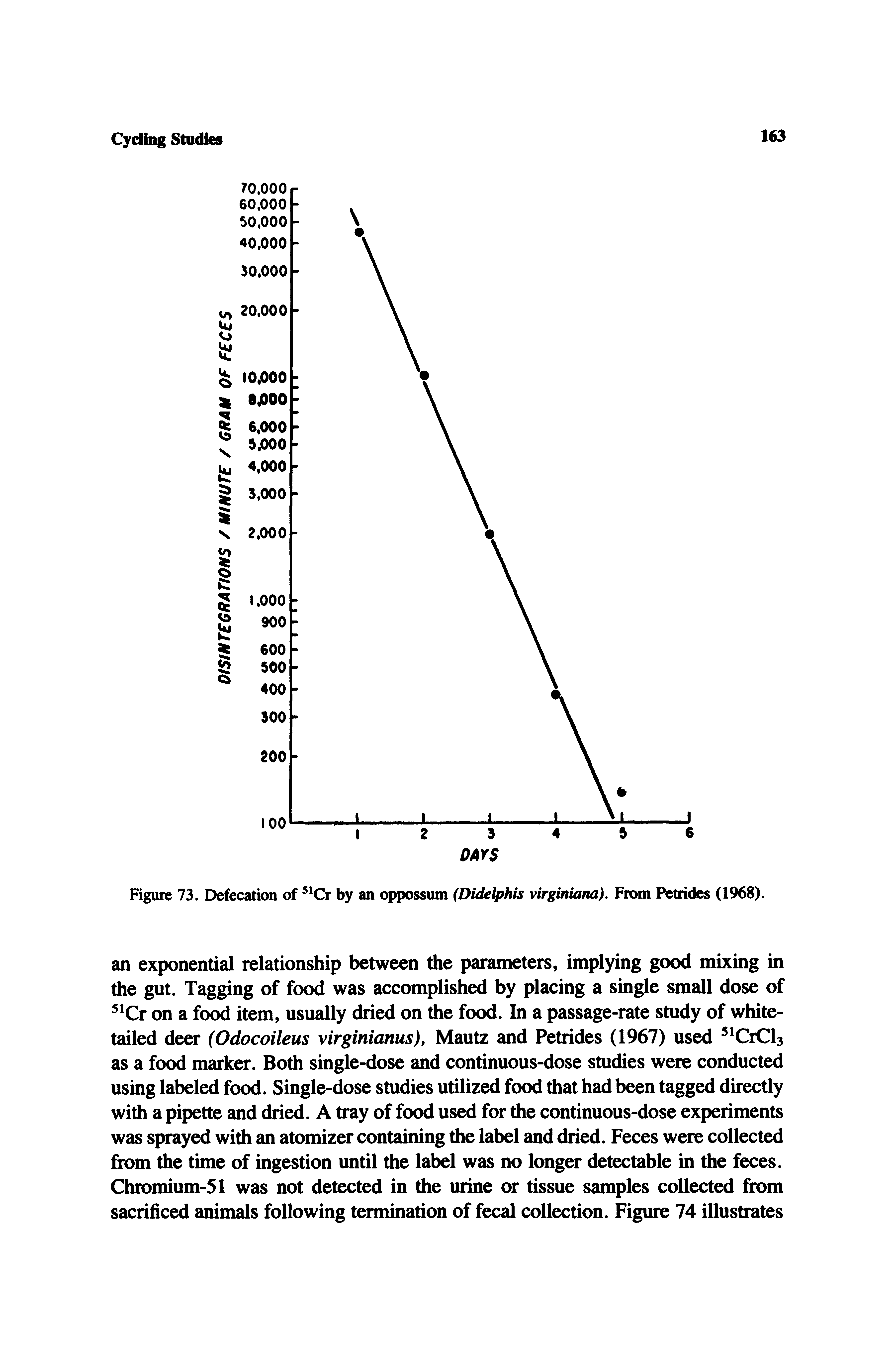 Figure 73. Defecation of Cr by an oppossum (Didelphis virginiana). From Petrides (1968).