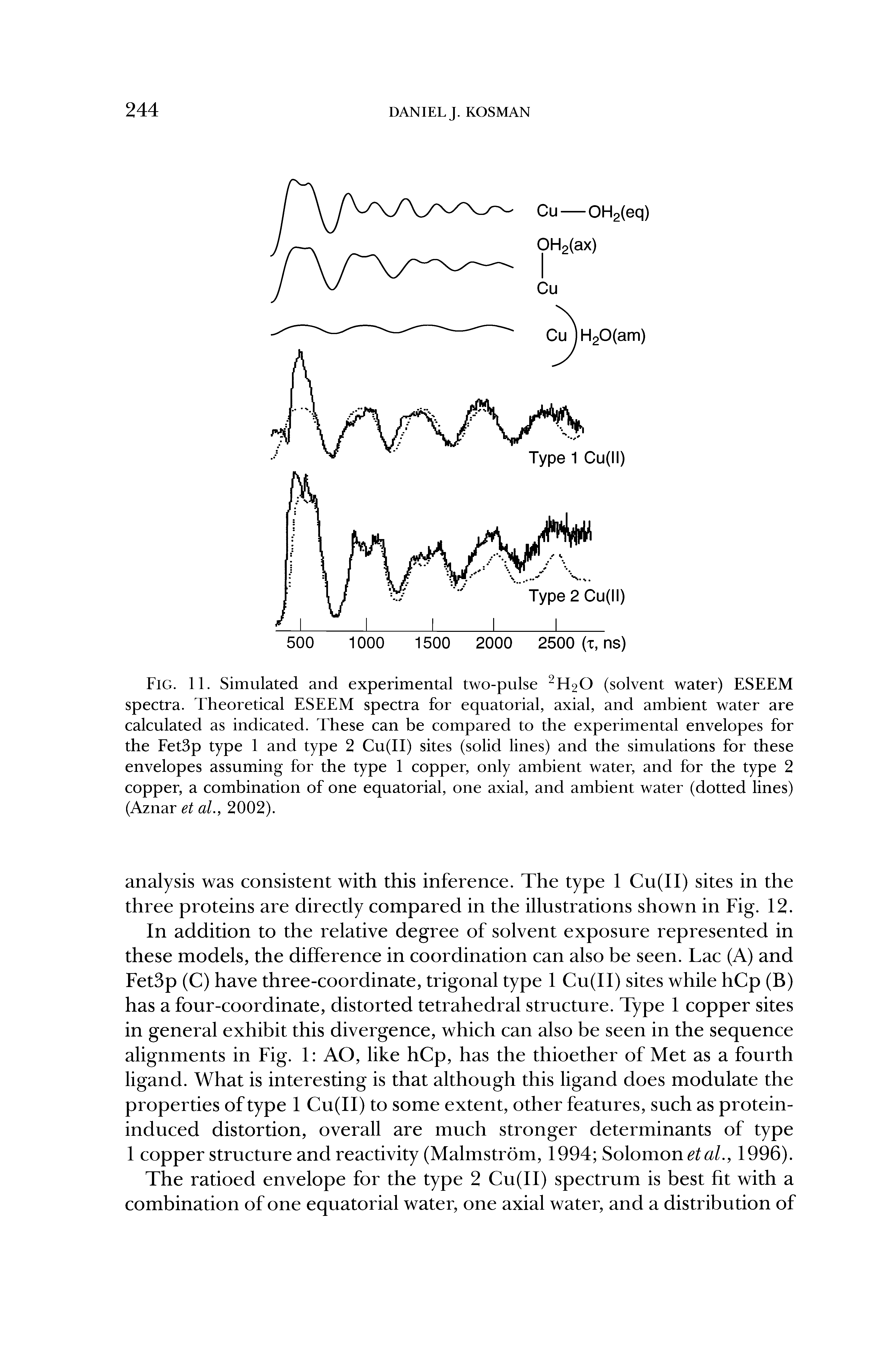 Fig. 11. Simulated and experimental two-pulse H20 (solvent water) ESEEM spectra. Theoretical ESEEM spectra for equatorial, axial, and ambient water are calculated as indicated. These can be compared to the experimental envelopes for the EetSp type 1 and type 2 Cu(II) sites (solid lines) and the simulations for these envelopes assuming for the type 1 copper, only ambient water, and for the type 2 copper, a combination of one equatorial, one axial, and ambient water (dotted lines) (Aznar et aL, 2002).