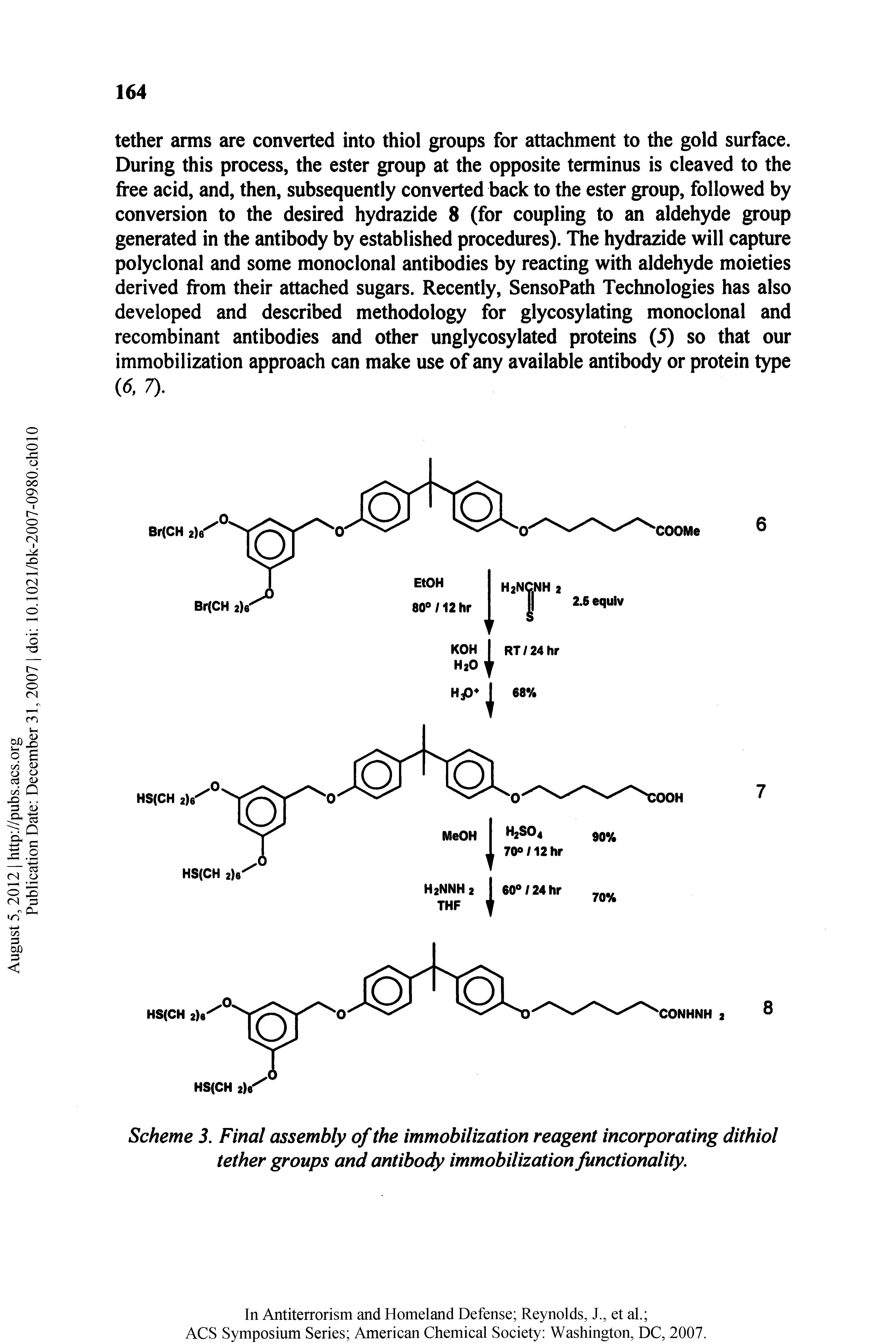 Scheme 3. Final assembly of the immobiltation reagent incorporating dithiol tether groups and antibody immobilization functionality.