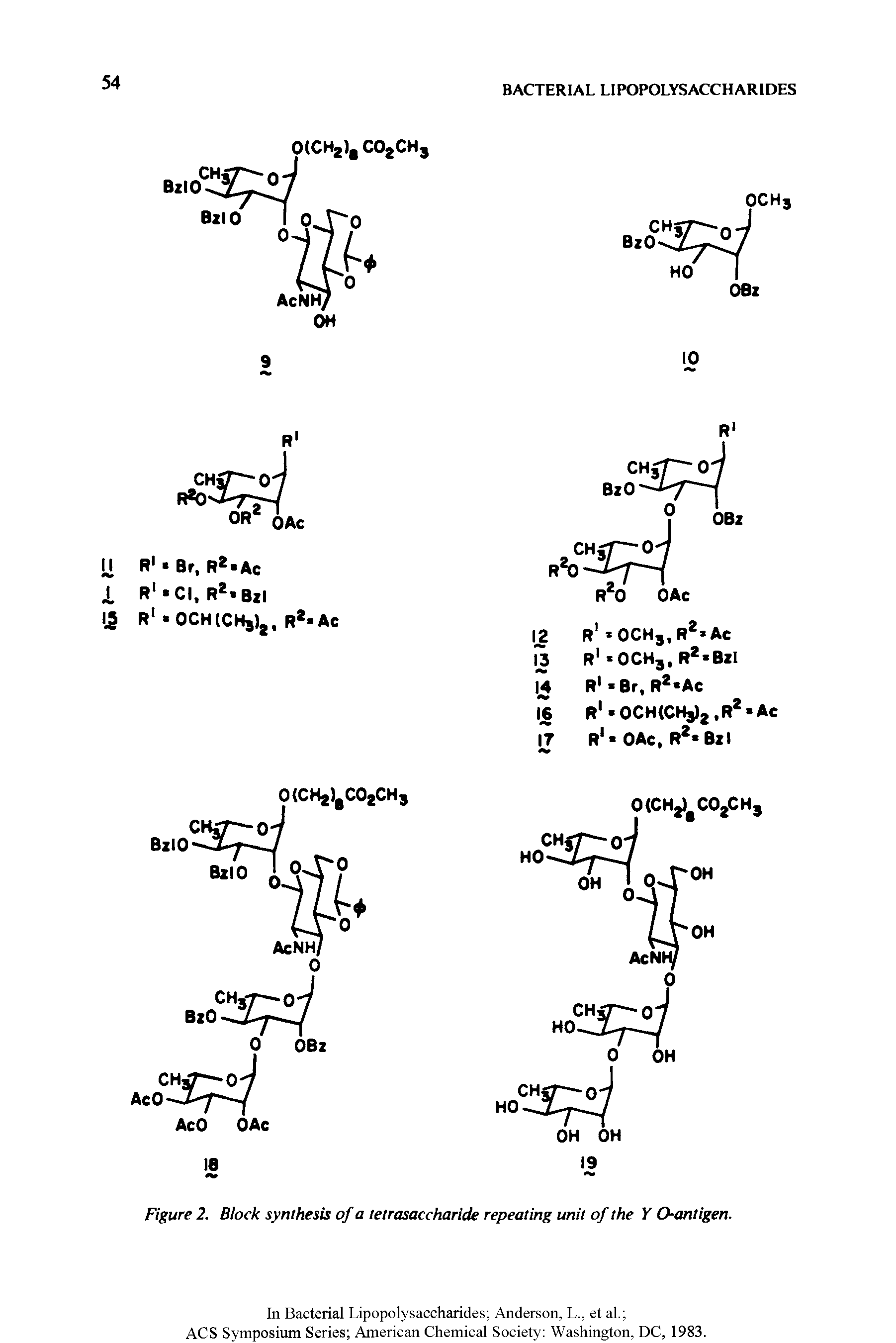 Figure 2. Block synthesis of a tetrasaccharide repeating unit of the Y O-antigen.