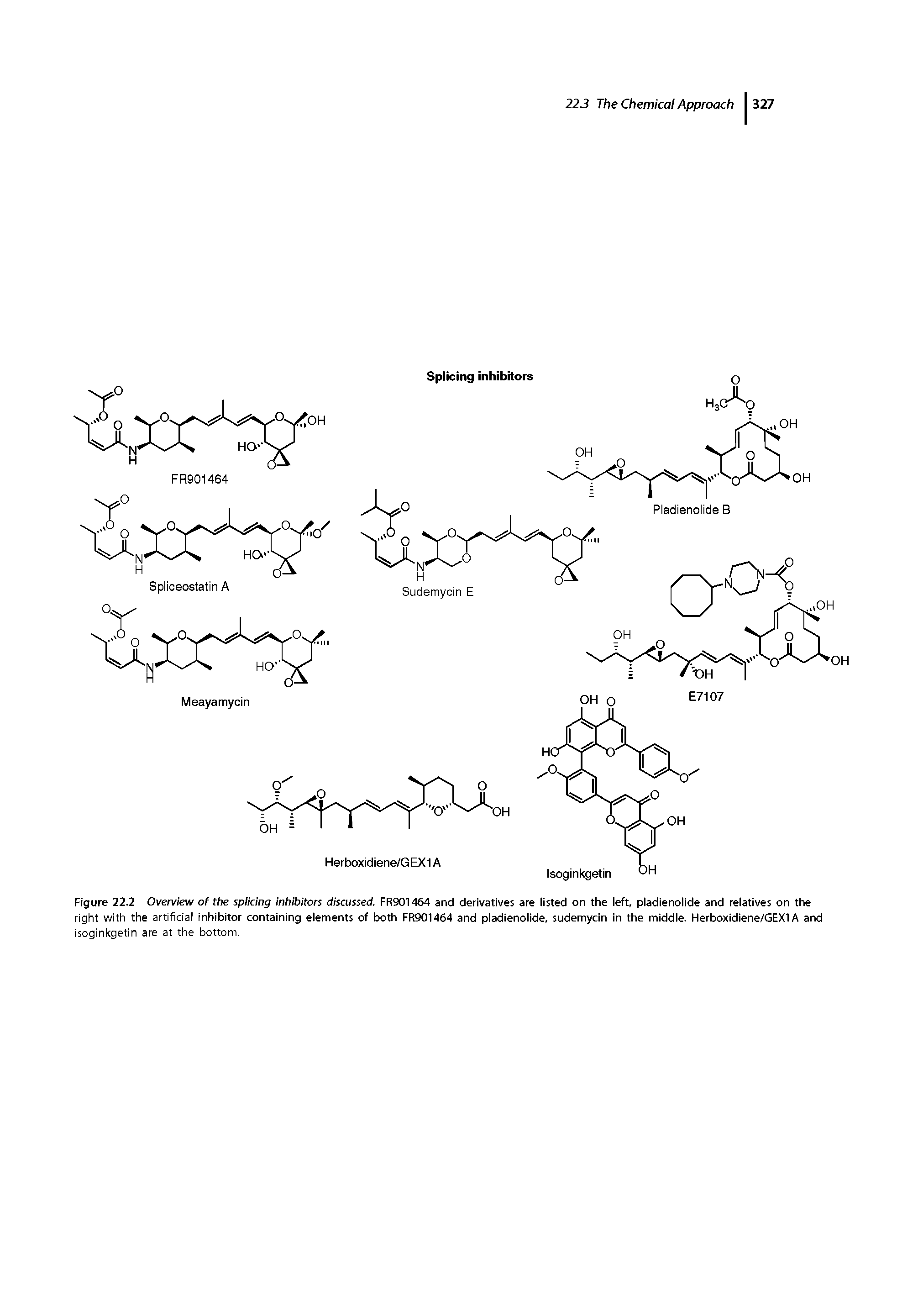 Figure 22.2 Ovennew of the splicing inhibitors discussed. FR901464 and derivatives are listed on the left, pladienolide and relatives on the right with the artificial inhibitor containing elements of both FR901464 and pladienolide, sudemycin in the middle. Herboxidiene/GEXl A and isoginkgetin are at the bottom.