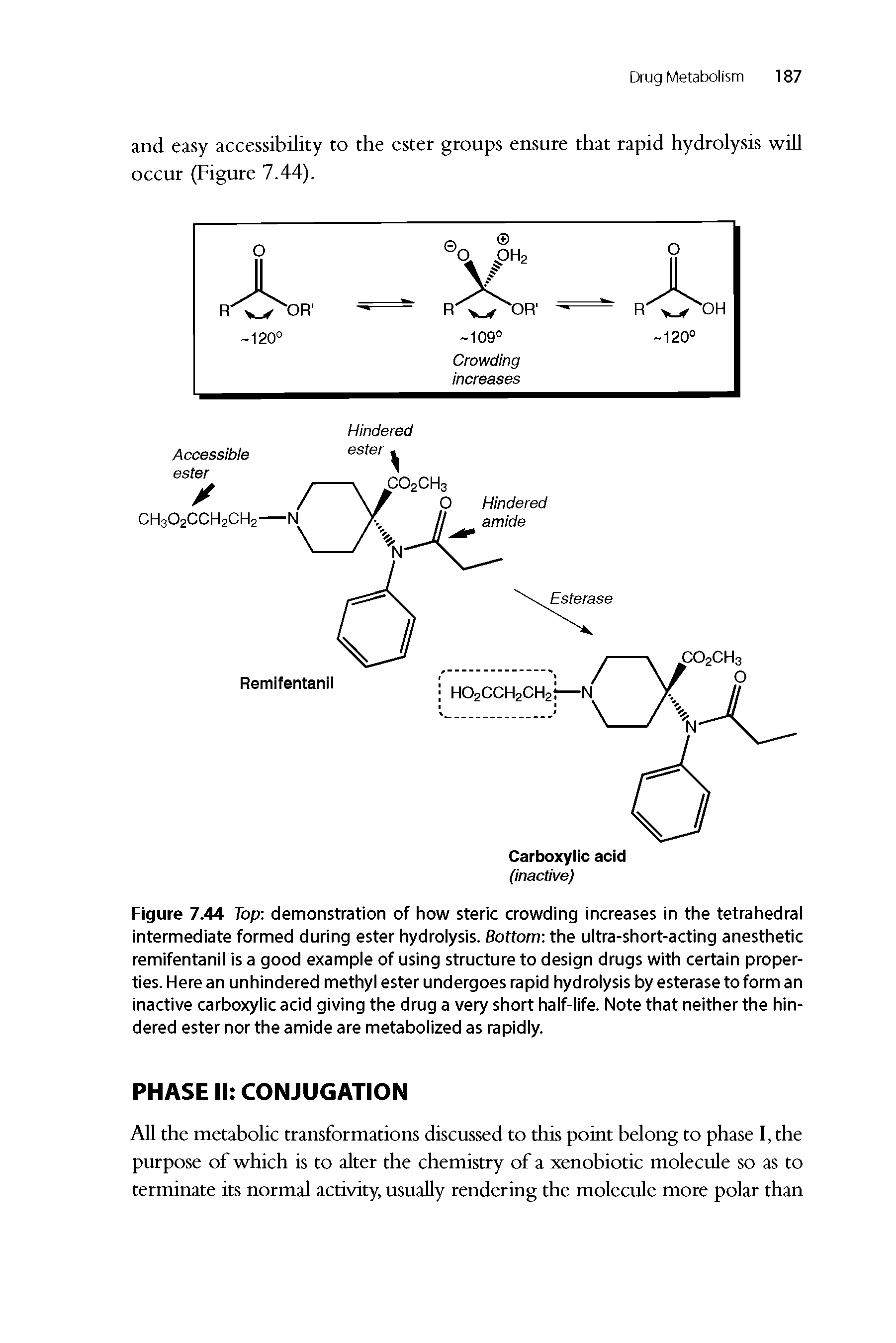 Figure 7.44 Top demonstration of how steric crowding increases in the tetrahedral intermediate formed during ester hydrolysis. Bottom the ultra-short-acting anesthetic remifentanil is a good example of using structure to design drugs with certain properties. Here an unhindered methyl ester undergoes rapid hydrolysis by esterase to form an inactive carboxylic acid giving the drug a very short half-life. Note that neither the hindered ester nor the amide are metabolized as rapidly.