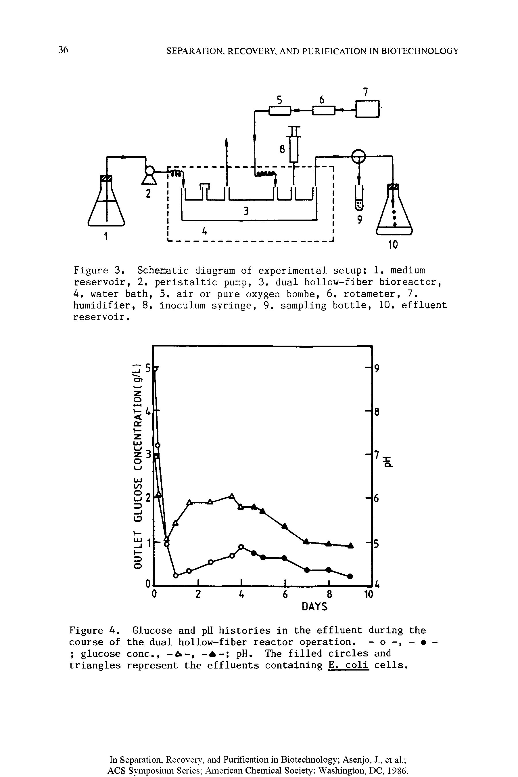 Figure 3. Schematic diagram of experimental setup 1. medium reservoir, 2. peristaltic pump, 3. dual hollow-fiber bioreactor, 4. water bath, 5. air or pure oxygen bombe, 6. rotameter, 7. humidifier, 8. inoculum syringe, 9. sampling bottle, 10. effluent reservoir.