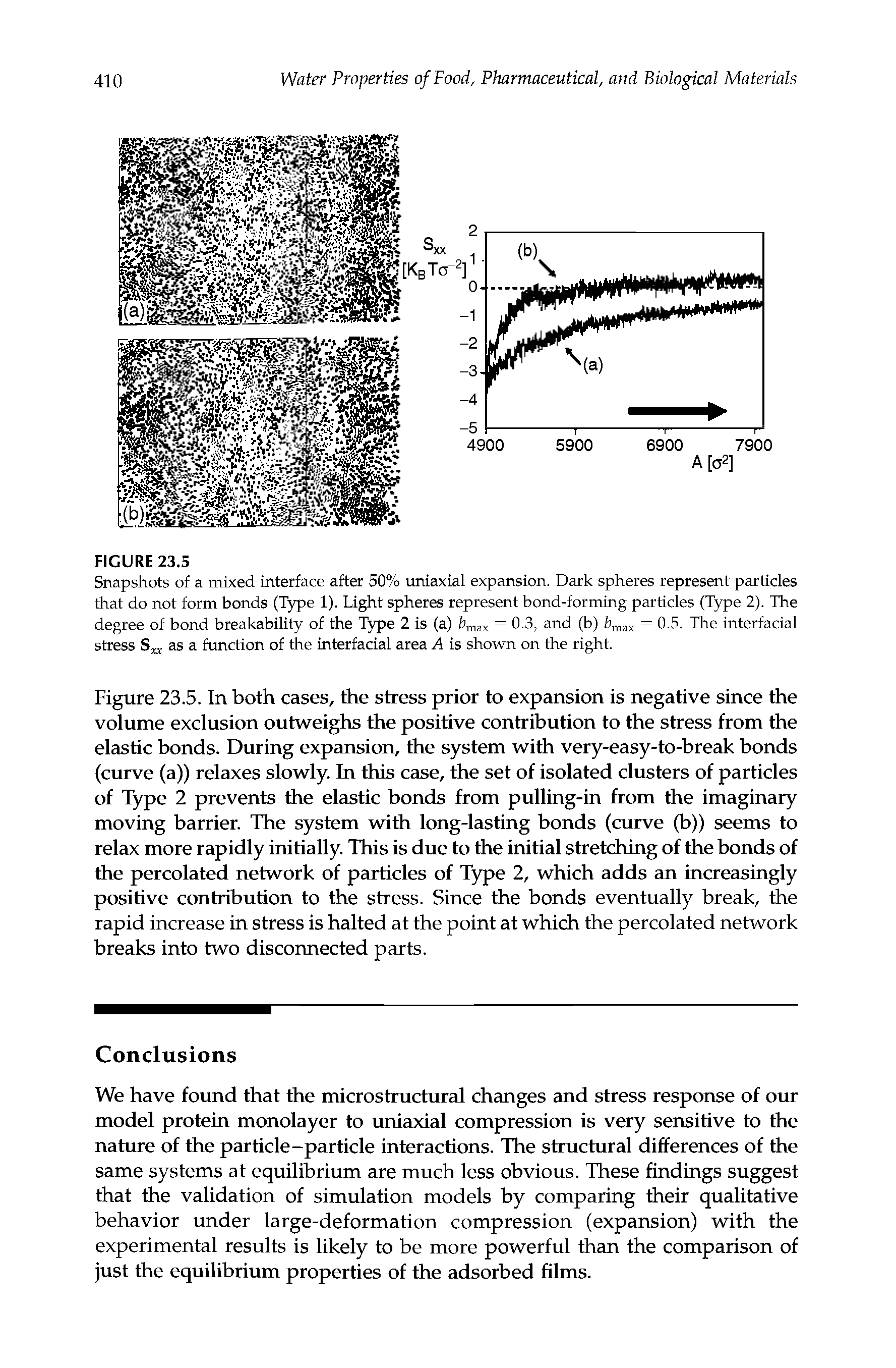 Figure 23.5. In both cases, the stress prior to expansion is negative since the volume exclusion outweighs the positive contribution to the stress from the elastic bonds. During expansion, the system with very-easy-to-break bonds (curve (a)) relaxes slowly. In this case, the set of isolated clusters of particles of Type 2 prevents the elastic bonds from pulling-in from the imaginary moving barrier. The system with long-lasting bonds (curve (b)) seems to relax more rapidly initially. This is due to the initial stretching of the bonds of the percolated network of particles of Type 2, which adds an increasingly positive contribution to the stress. Since the bonds eventually break, the rapid increase in stress is halted at the point at which the percolated network breaks into two disconnected parts.