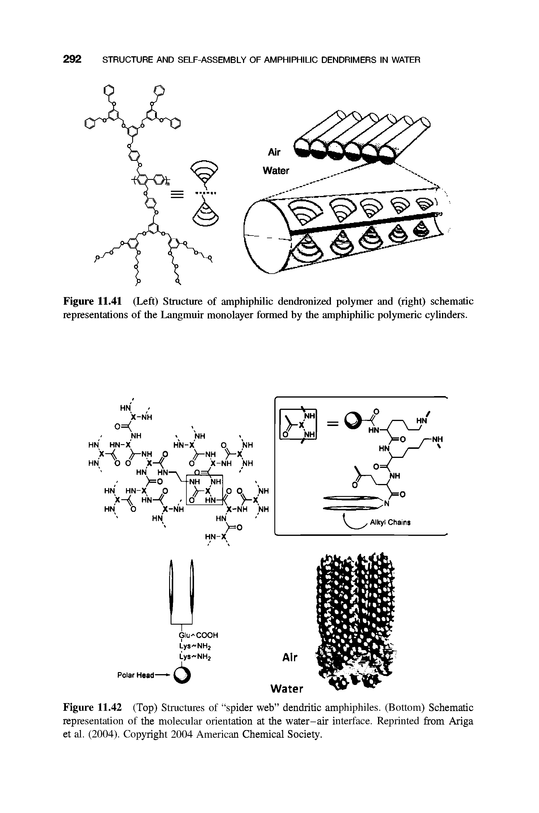 Figure 11.42 (Top) Structures of spider web dendritic amphiphiles. (Bottom) Schematic representation of the molecular orientation at the water-air interface. Reprinted from Ariga et al. (2004). Copyright 2004 American Chemical Society.