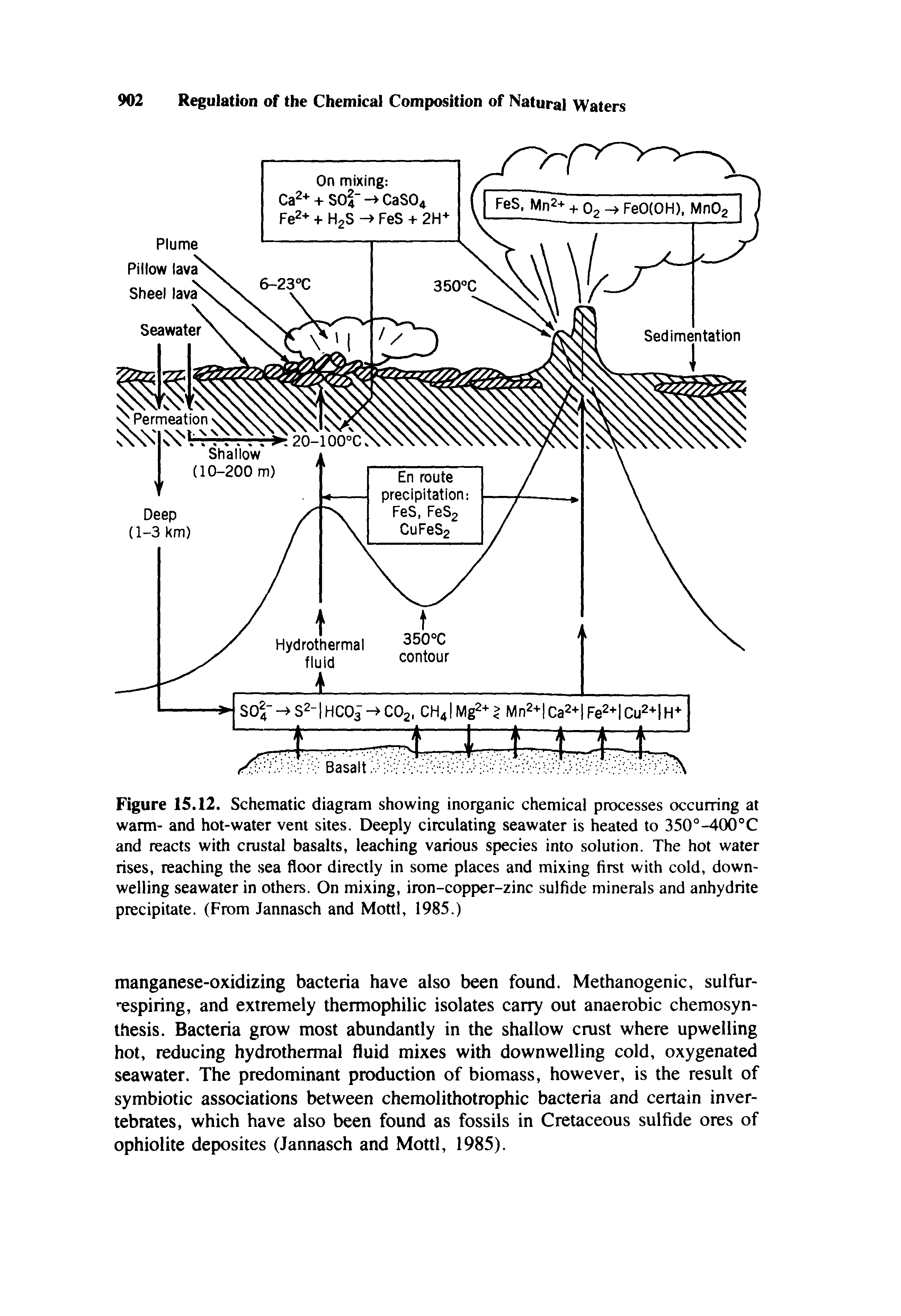 Figure 15.12. Schematic diagram showing inorganic chemical processes occurring at warm- and hot-water vent sites. Deeply circulating seawater is heated to 350°-400°C and reacts with crustal basalts, leaching various species into solution. The hot water rises, reaching the sea floor directly in some places and mixing first with cold, down-welling seawater in others. On mixing, iron-copper-zinc sulfide minerals and anhydrite precipitate. (From Jannasch and Mottl, 1985.)...