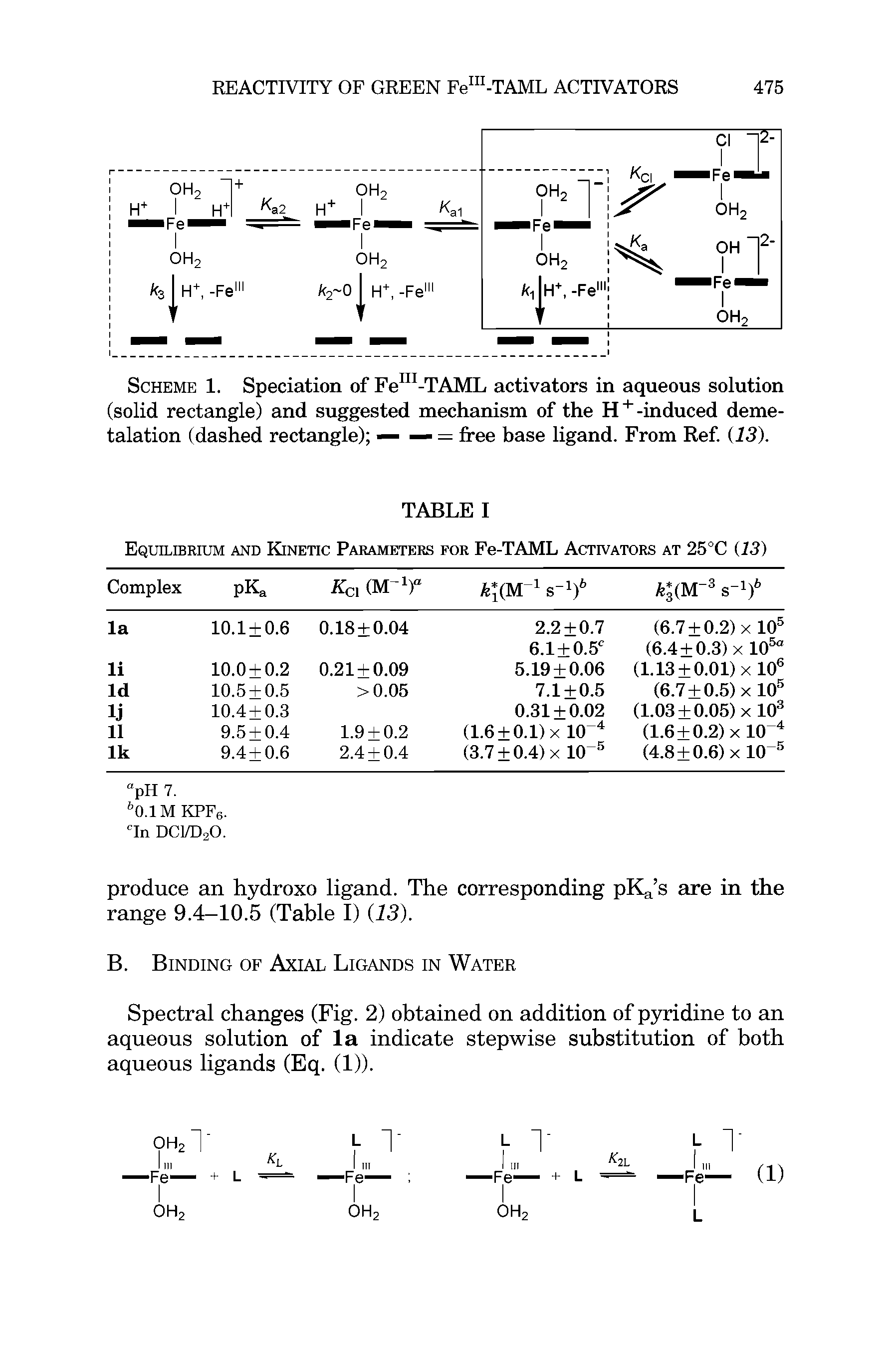 Scheme 1. Speciation of Feni-TAML activators in aqueous solution (solid rectangle) and suggested mechanism of the H+-induced deme-talation (dashed rectangle) — — = free base ligand. From Ref. (13).