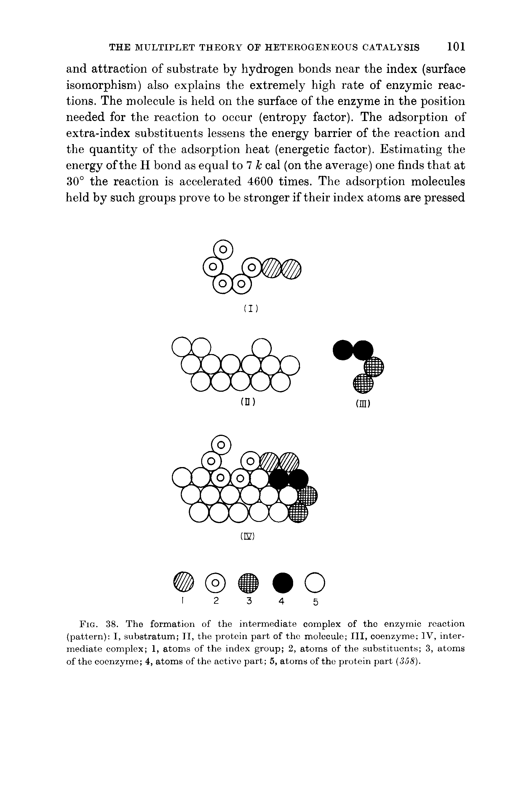 Fig. 38. Tho formation of the intermediate complex of the enzymic reaction (pattern) I, substratum II, the protein part of the molecule III, coenzyme IV, intermediate complex 1, atoms of the index group 2, atoms of the substituents 3, atoms of the coenzyme 4, atoms of the active part 5, atoms of the protein part (35S).