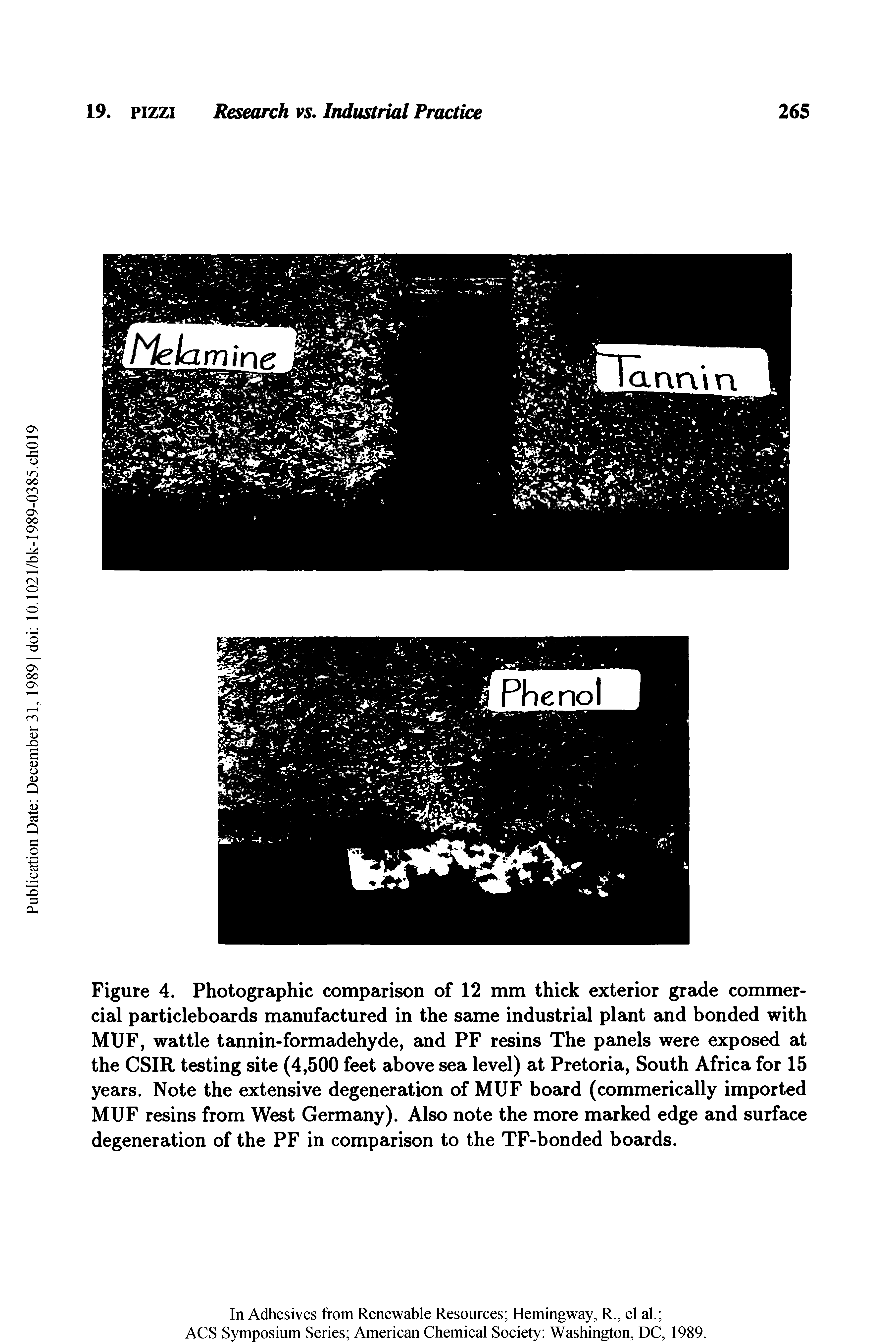 Figure 4. Photographic comparison of 12 mm thick exterior grade commercial particleboards manufactured in the same industrial plant and bonded with MUF, wattle tannin-formadehyde, and PF resins The panels were exposed at the CSIR testing site (4,500 feet above sea level) at Pretoria, South Africa for 15 years. Note the extensive degeneration of MUF board (commerically imported MUF resins from West Germany). Also note the more marked edge and surface degeneration of the PF in comparison to the TF-bonded boards.