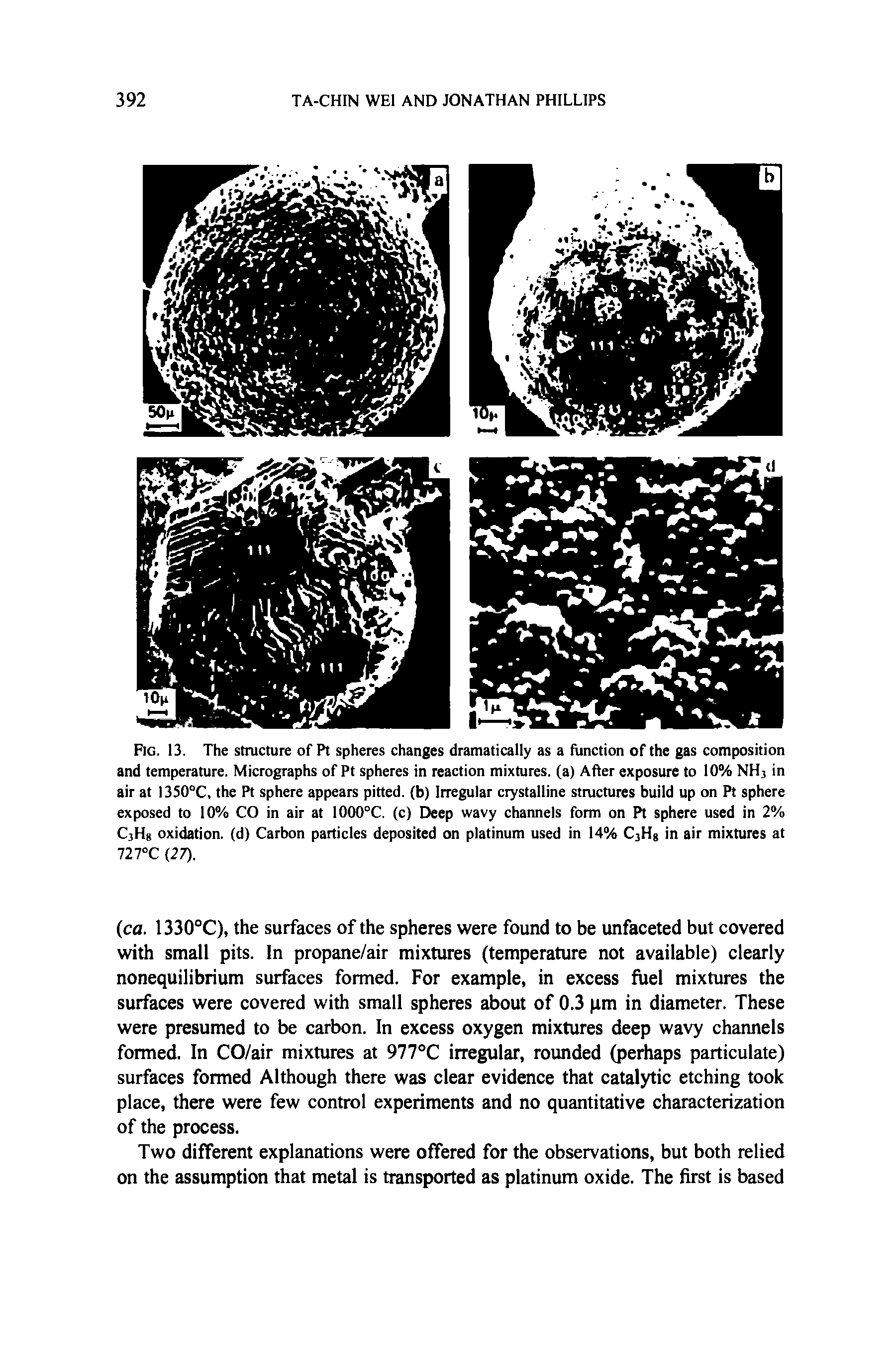 Fig. 13. The structure of Pt spheres changes dramatically as a function of the gas composition and temperature. Micrographs of Pt spheres in reaction mixtures, (a) After exposure to 10% NH3 in air at I350°C, the Pt sphere appears pitted, (b) Irregular crystalline structures build up on Pt sphere exposed to 10% CO in air at 1000°C. (c) Deep wavy channels form on Pt sphere used in 2% C,H8 oxidation, (d) Carbon particles deposited on platinum used in 14% C3Hg in air mixtures at 727°C (27).