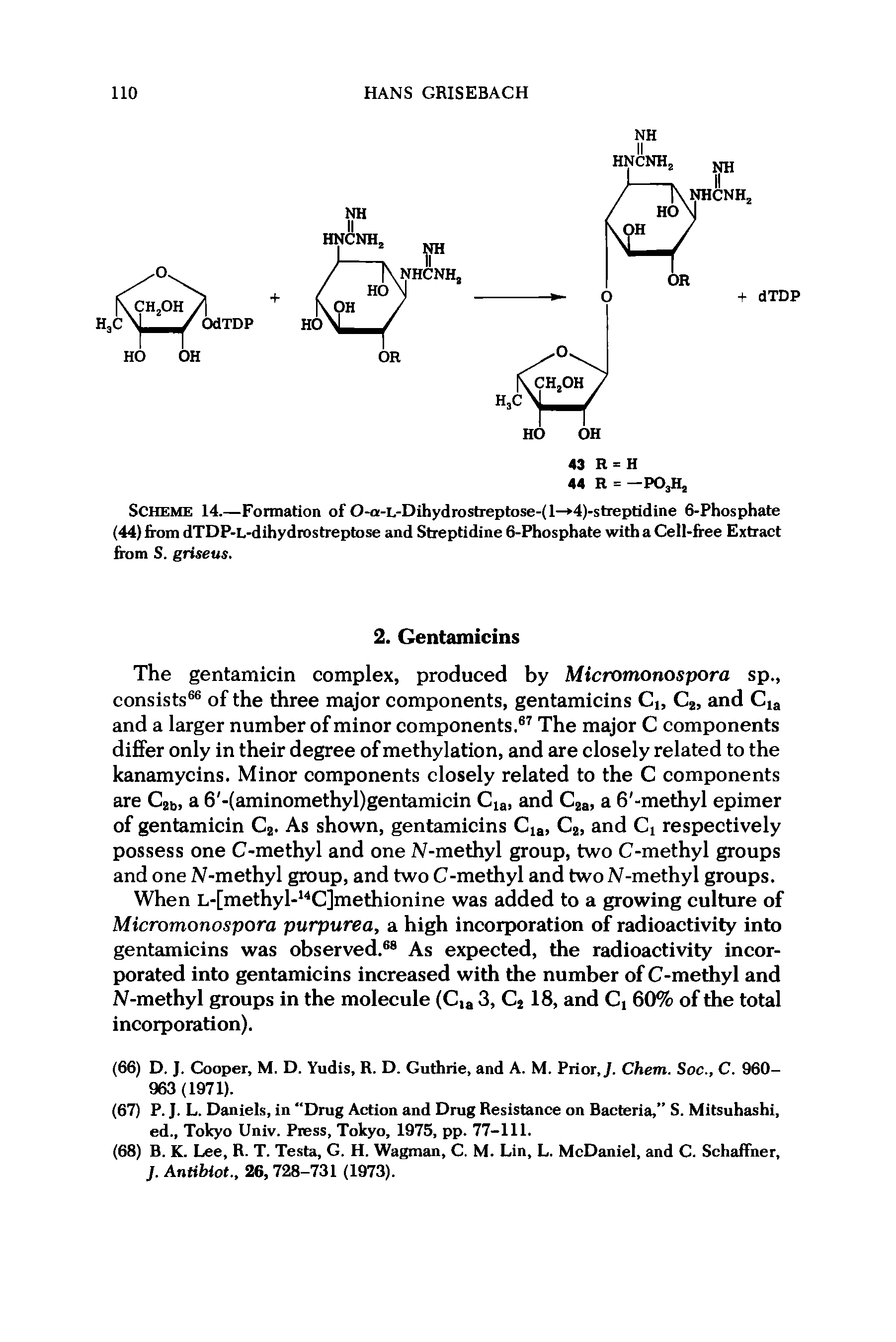 Scheme 14.—Formation of 0-a-L-Dihydrostreptose-(l— 4)-streptidine 6-Phosphate (44) from dTDP-L-dihydrostreptose and Streptidine 6-Phosphate with a Cell-free Extract from S. griseus.
