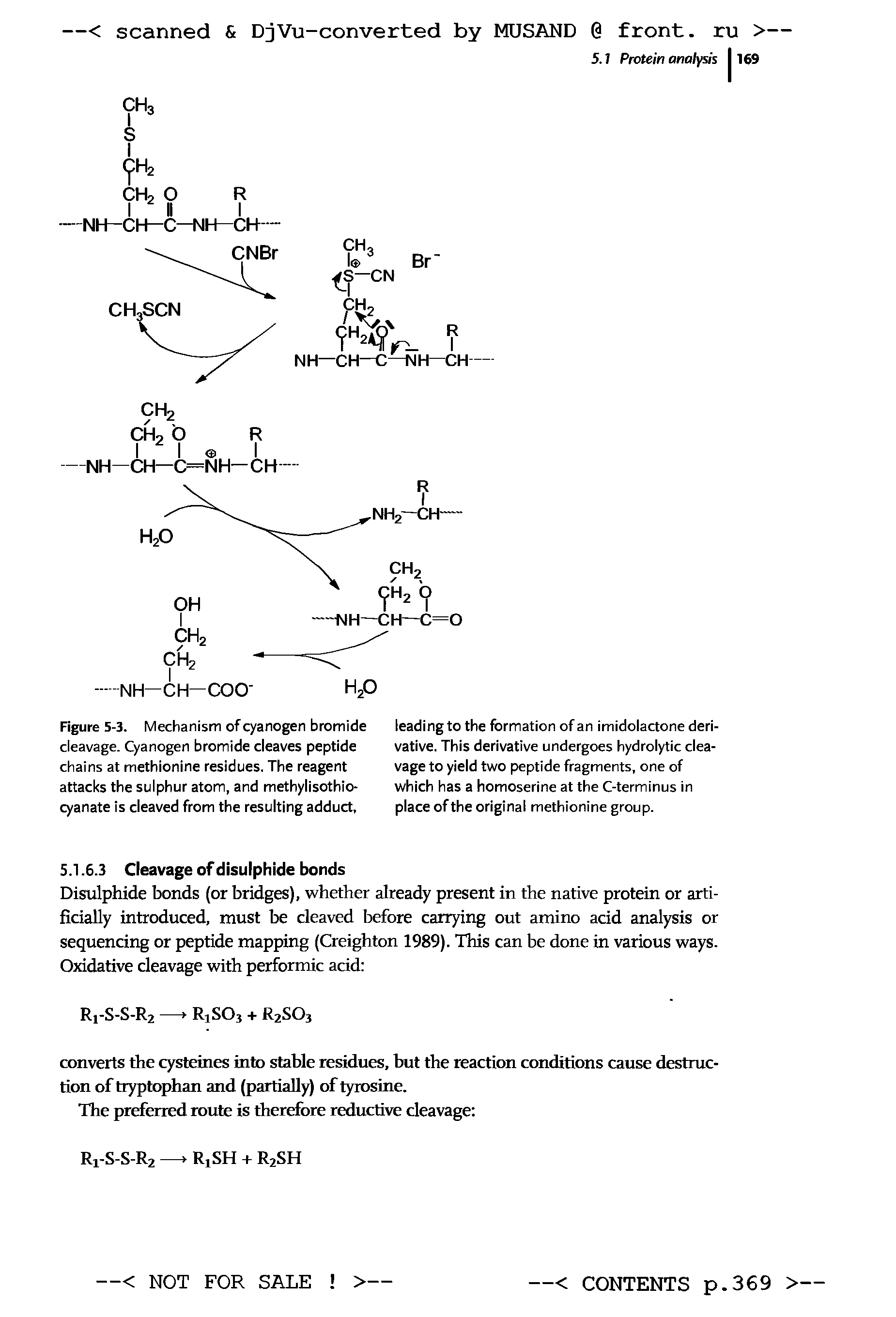 Figure 5-3. Mechanism of cyanogen bromide cleavage. Cyanogen bromide cleaves peptide chains at methionine residues. The reagent attacks the sulphur atom, and methylisothio-cyanate is cleaved from the resulting adduct,...