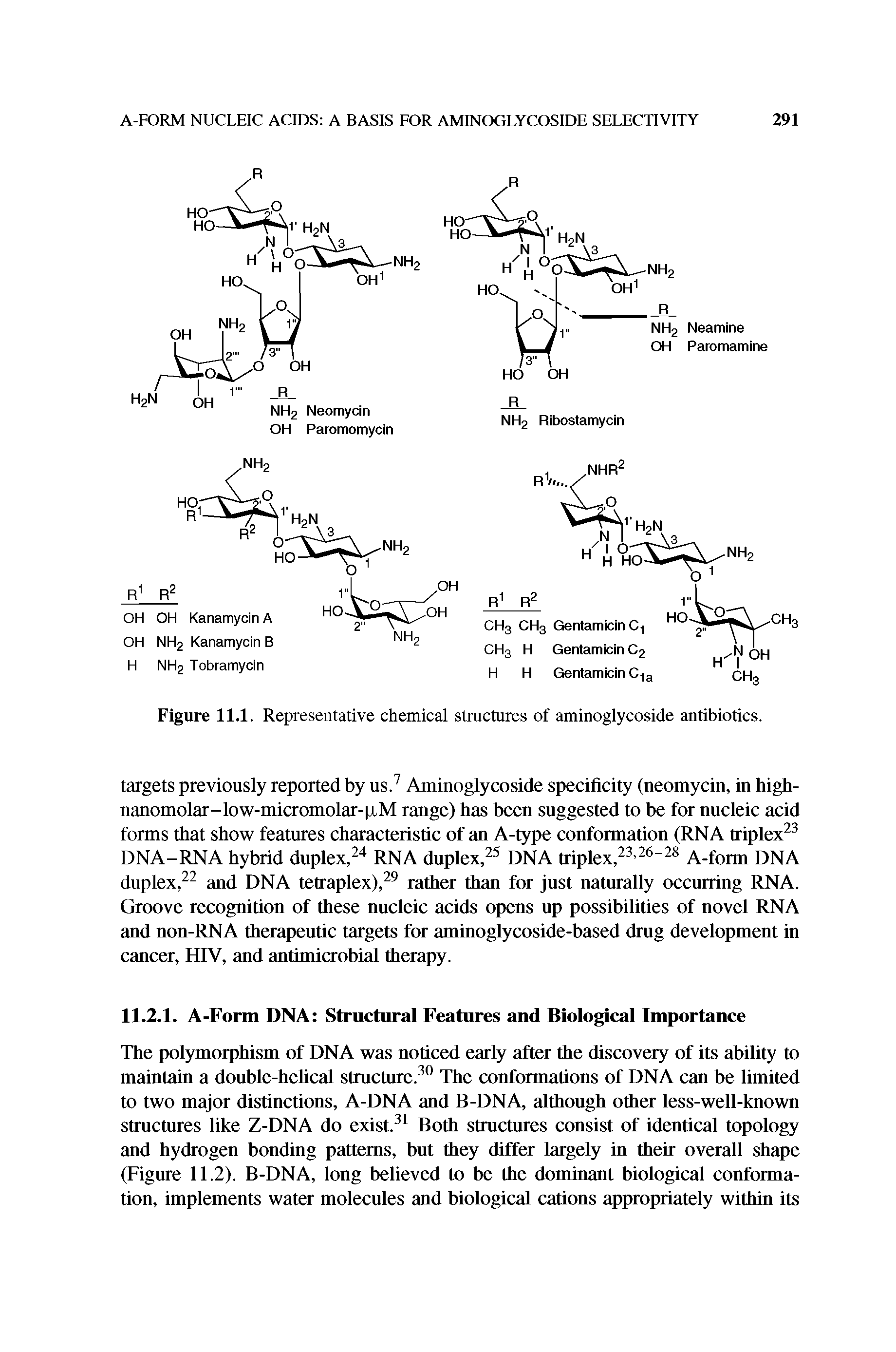 Figure 11.1. Representative chemical structures of aminoglycoside antibiotics.