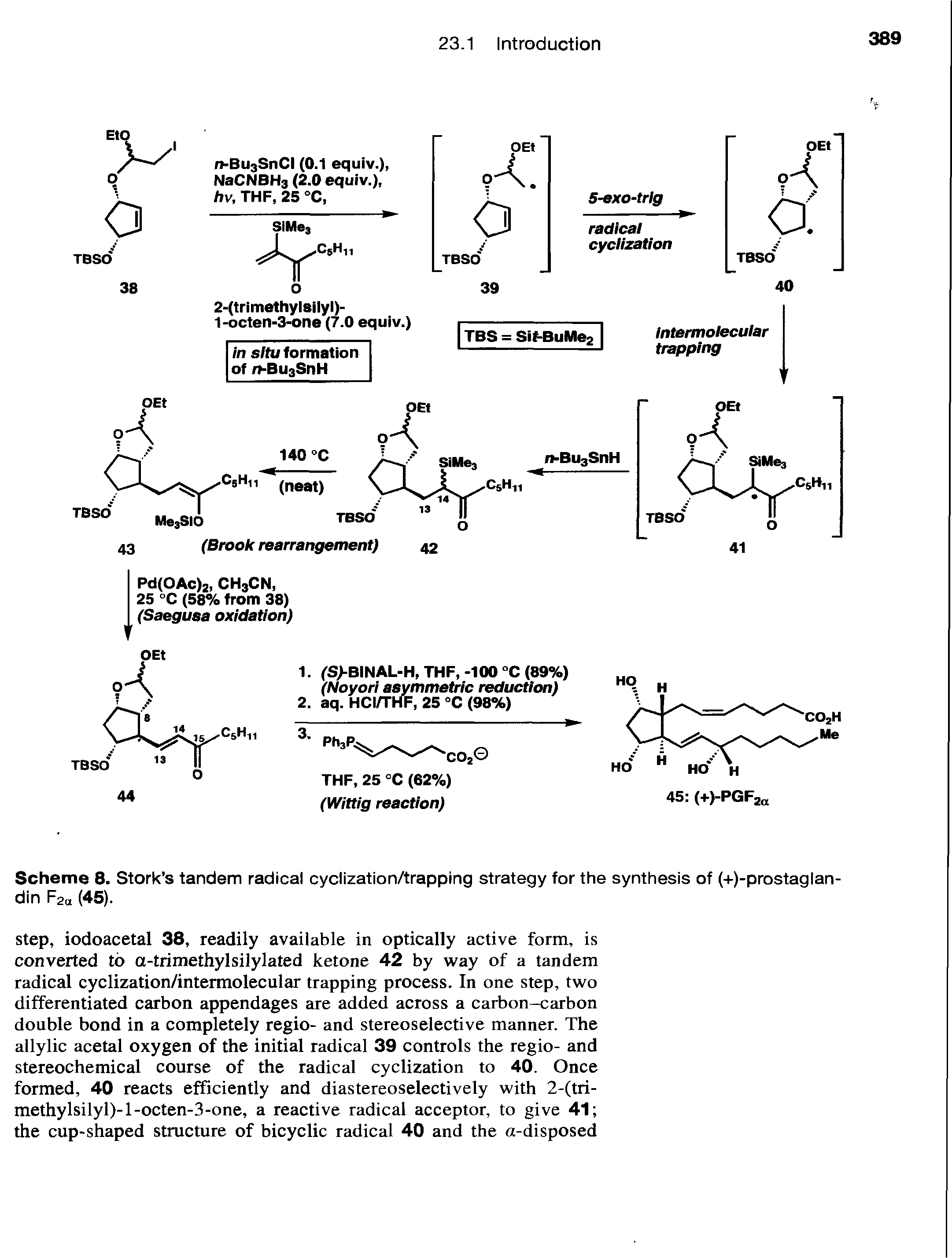 Scheme 8. Stork s tandem radical cyclization/trapping strategy for the synthesis of (+)-prostaglan-din F2a (45).