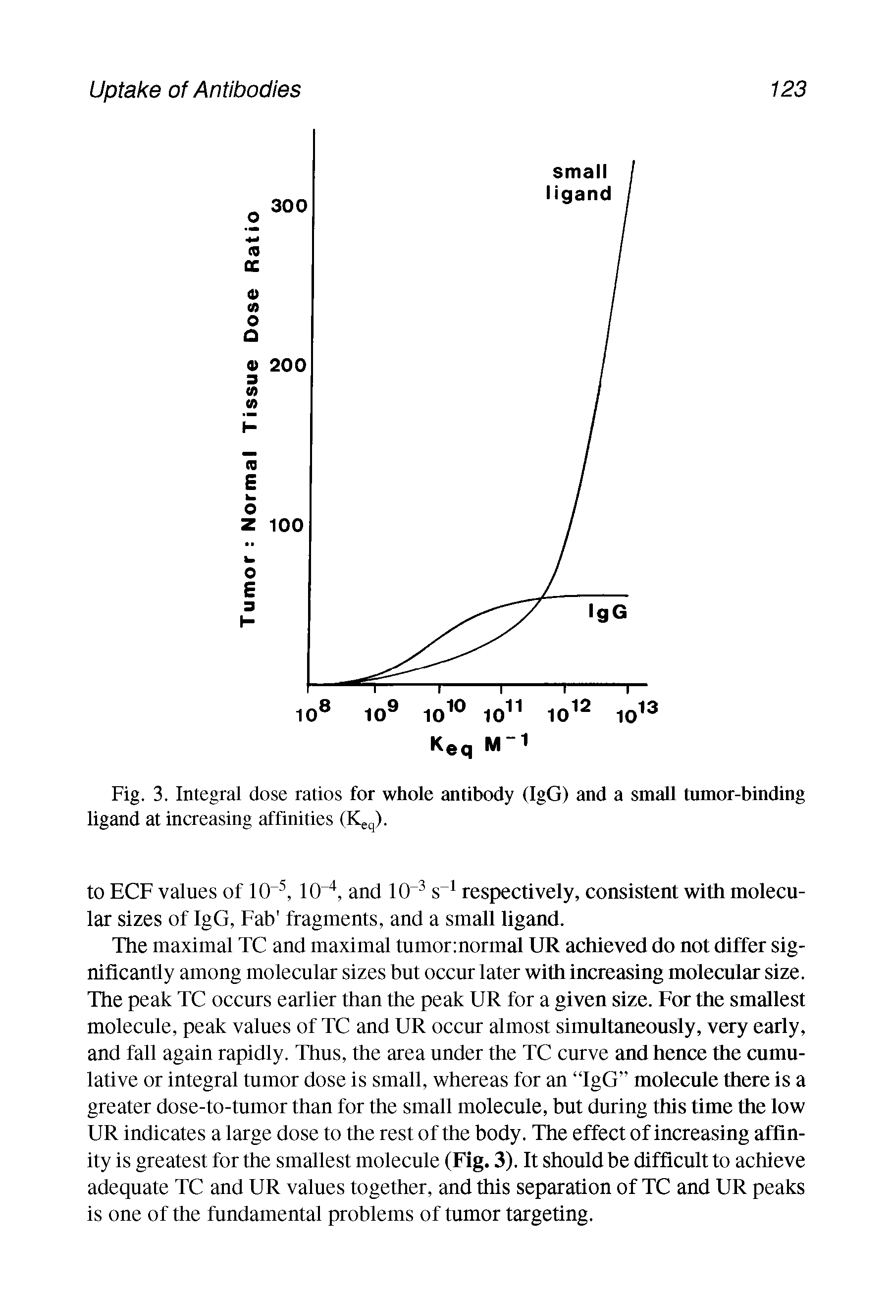 Fig. 3. Integral dose ratios for whole antibody (IgG) and a small tumor-binding ligand at increasing affinities (Keq).