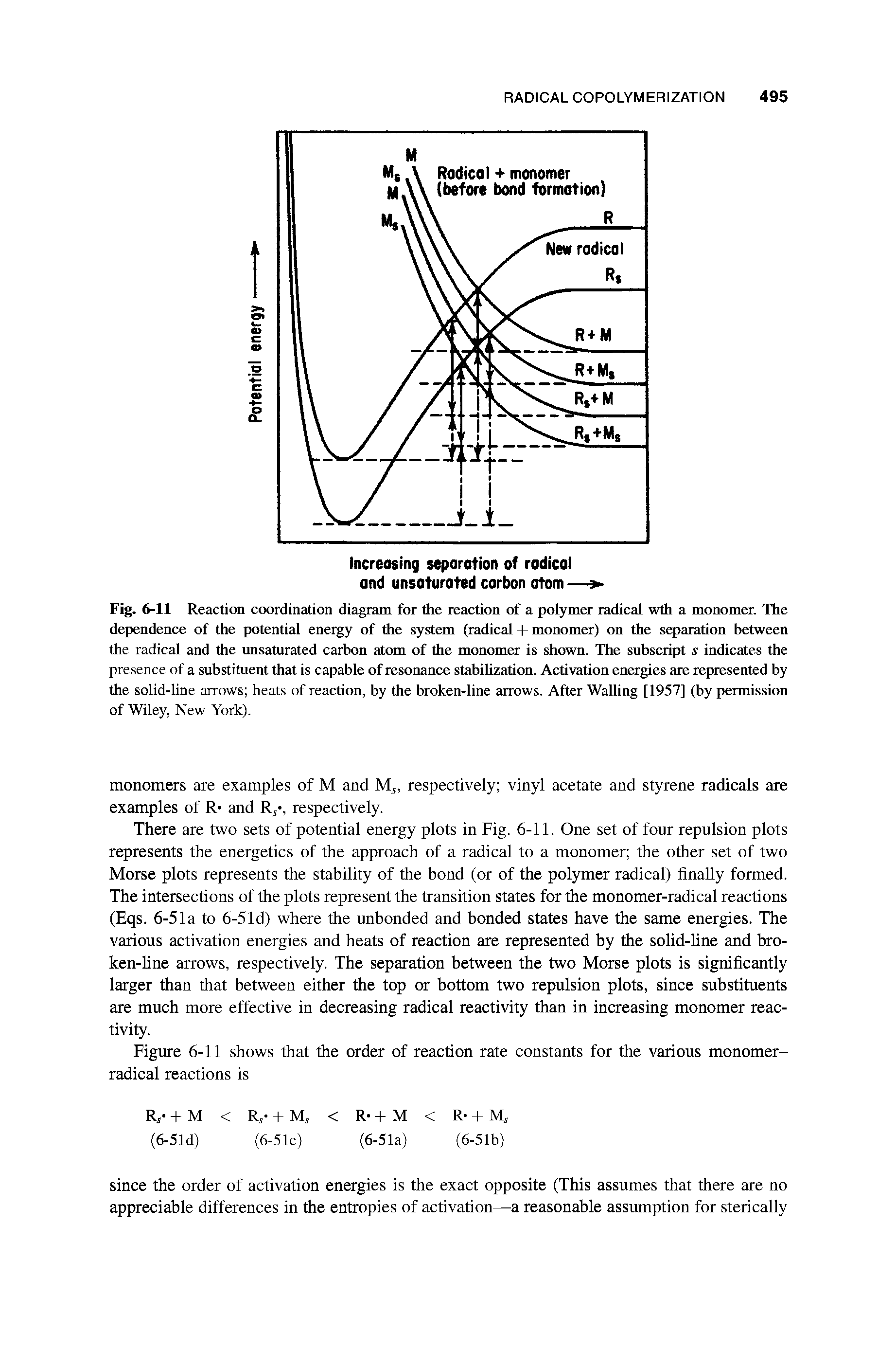 Fig. 6-11 Reaction coordination diagram for the reaction of a polymer radical wth a monomer. The dependence of the potential energy of the system (radical + monomer) on the separation between the radical and the unsaturated carbon atom of the monomer is shown. The subscript. indicates the presence of a substituent that is capable of resonance stabilization. Activation energies are represented by the solid-line arrows heats of reaction, by the broken-line arrows. After Walling [1957] (by permission of Wiley, New York).