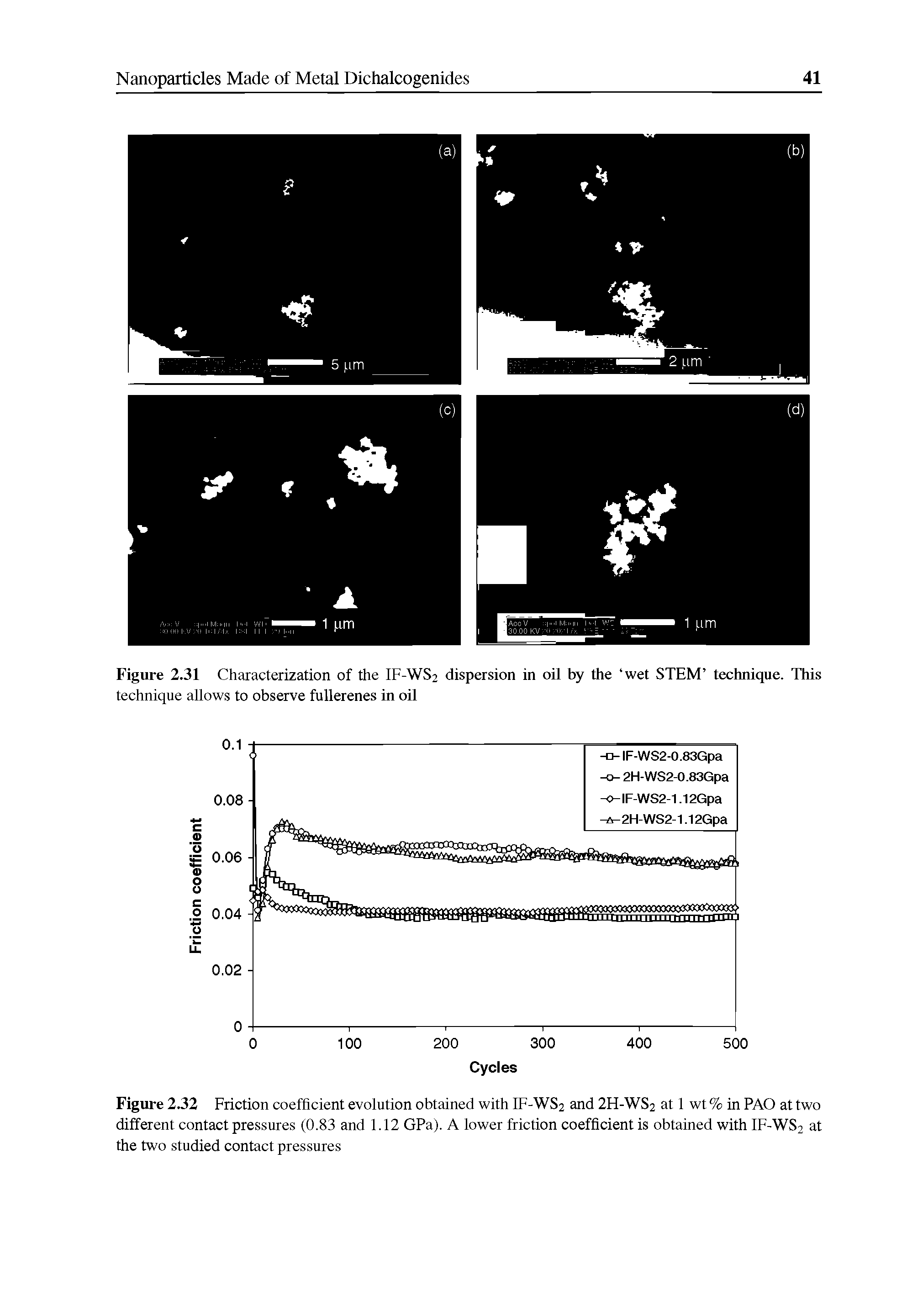 Figure 2.31 Characterization of the IF-WS2 dispersion in oU by the wet STEM technique. This...