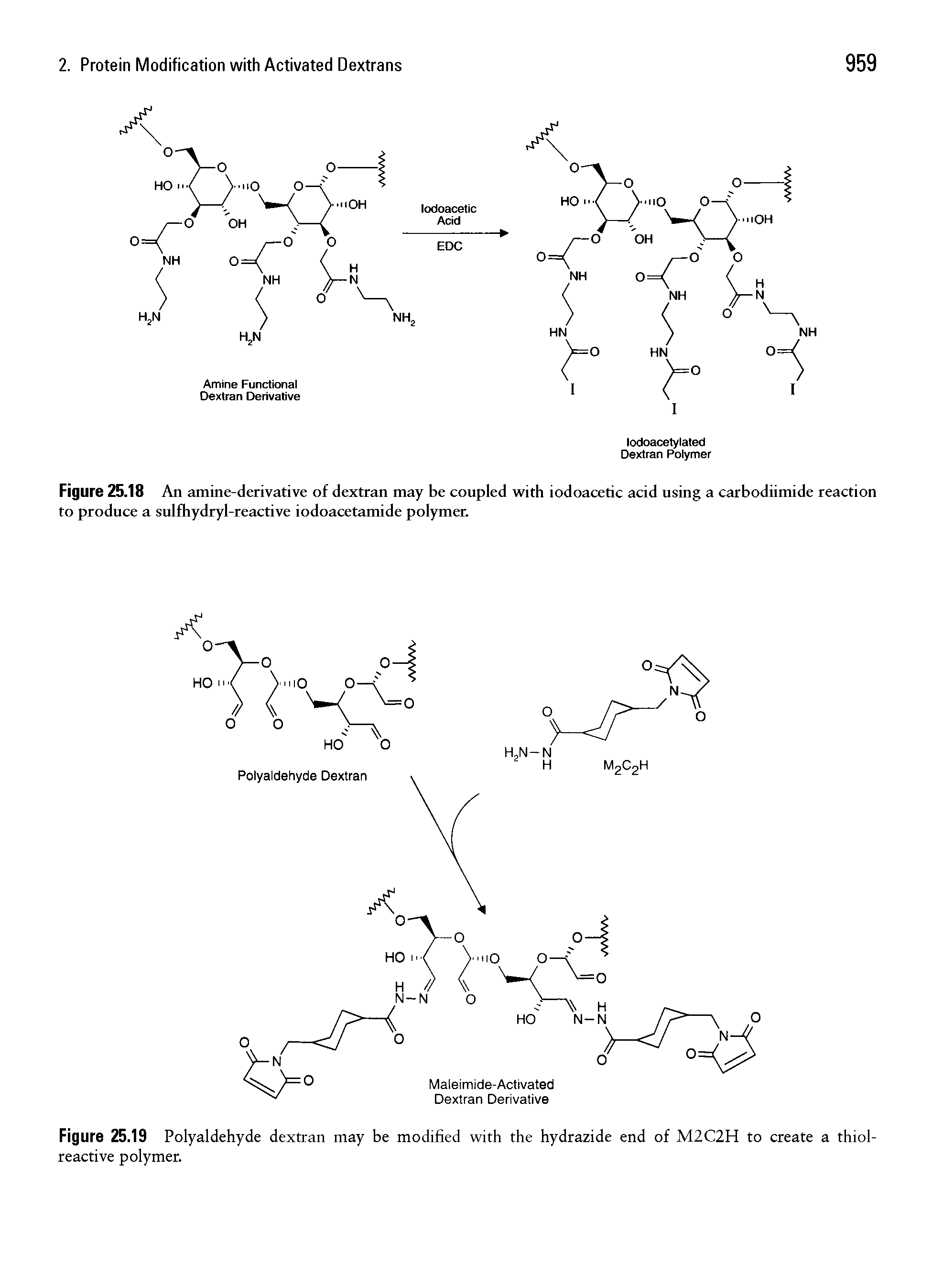Figure 25.18 An amine-derivative of dextran may be coupled with iodoacetic acid using a carbodiimide reaction to produce a sulfhydryl-reactive iodoacetamide polymer.