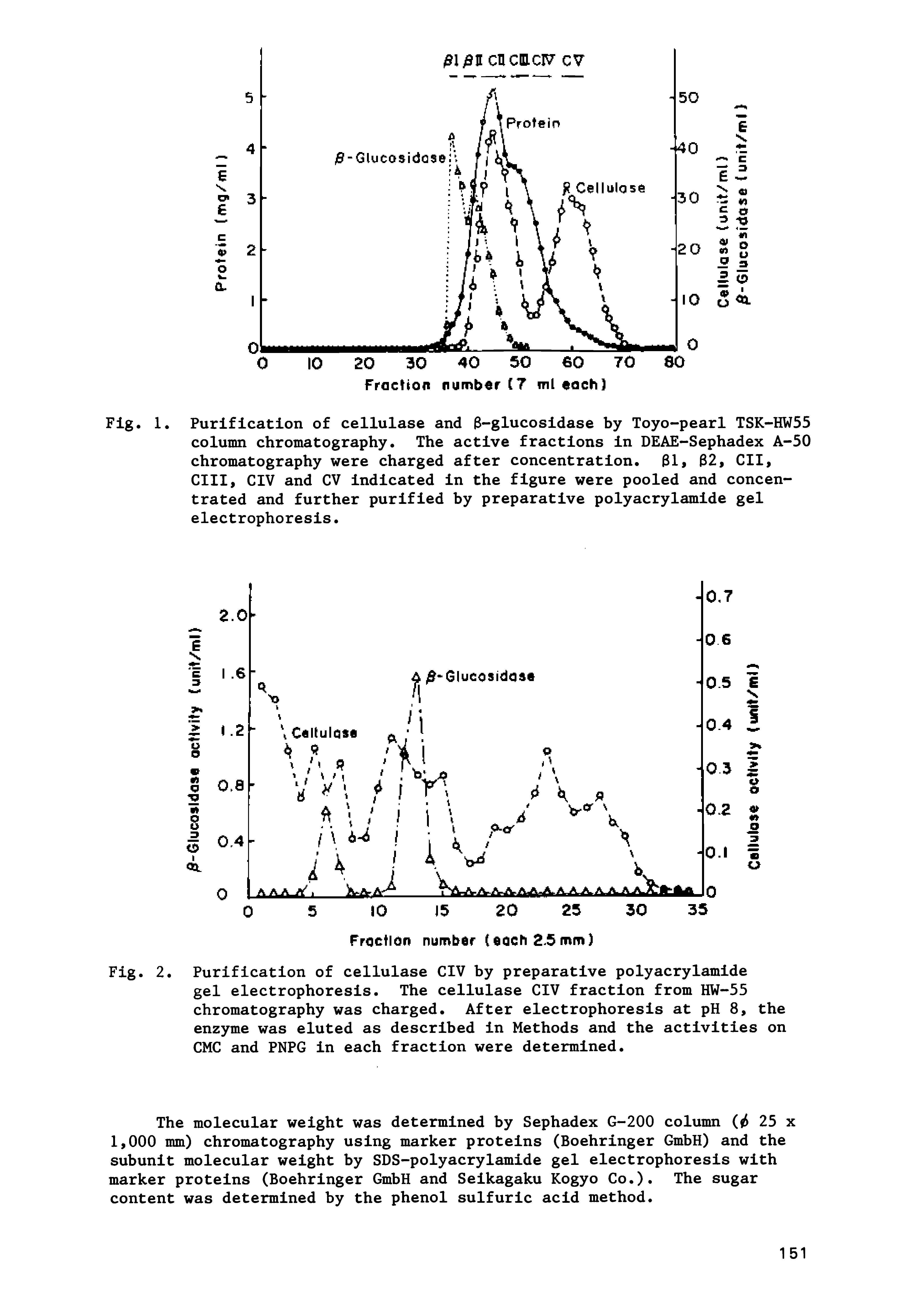 Fig. 1. Purification of cellulase and 3-glucosidase by Toyo-pearl TSK-HW55 column chromatography. The active fractions in D A Sephadex A-50 chromatography were charged after concentration. 31> 32, CII, cm, CIV and CV indicated in the figure were pooled and concentrated and further purified by preparative polyacrylamide gel electrophoresis.