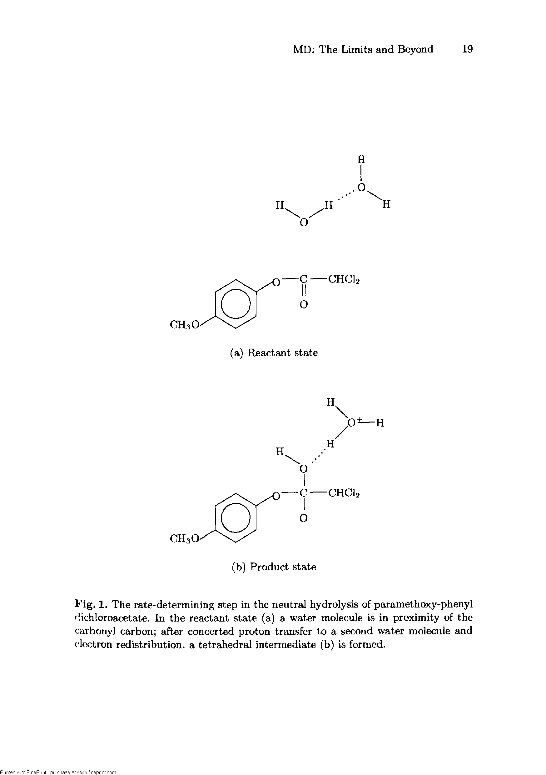 Fig. 1. The rate-determining step in the neutral hydrolysis of paramethoxy-phenyl dichloroacetate. In the reactant state (a) a water molecule is in proximity of the carbonyl carbon after concerted proton transfer to a second water molecule and electron redistribution, a tetrahedral intermediate (b) is formed.