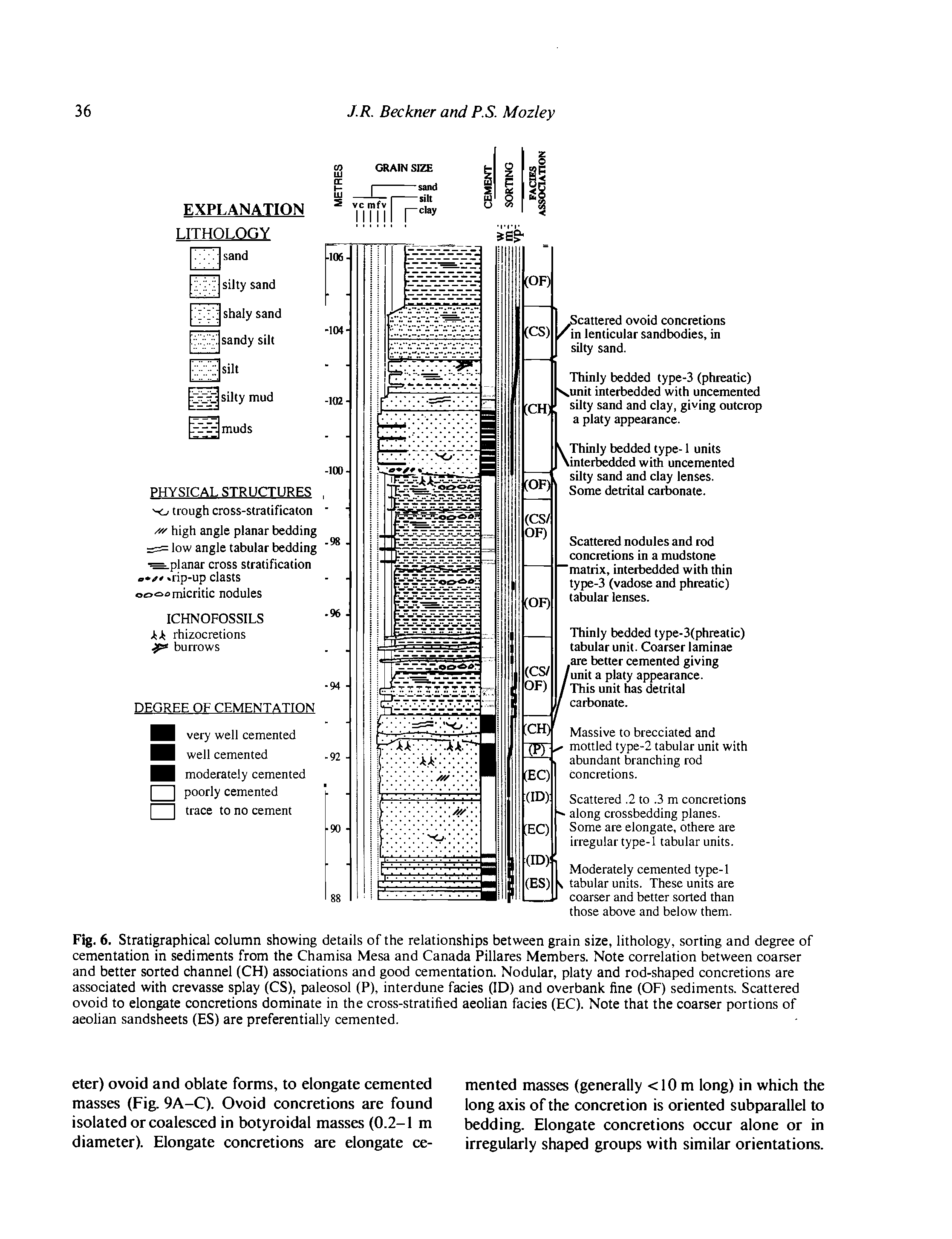 Fig. 6. Stratigraphical column showing details of the relationships between grain size, lithology, sorting and degree of cementation in sediments from the Chamisa Mesa and Canada Pillares Members. Note correlation between coarser and better sorted channel (CH) associations and good cementation. Nodular, platy and rod-shaped concretions are associated with crevasse splay (CS), paleosol (P), interdune facies (ID) and overbank fine (OF) sediments. Scattered ovoid to elongate concretions dominate in the cross-stratified aeolian facies (EC). Note that the coarser portions of aeolian sandsheets (ES) are preferentially cemented.