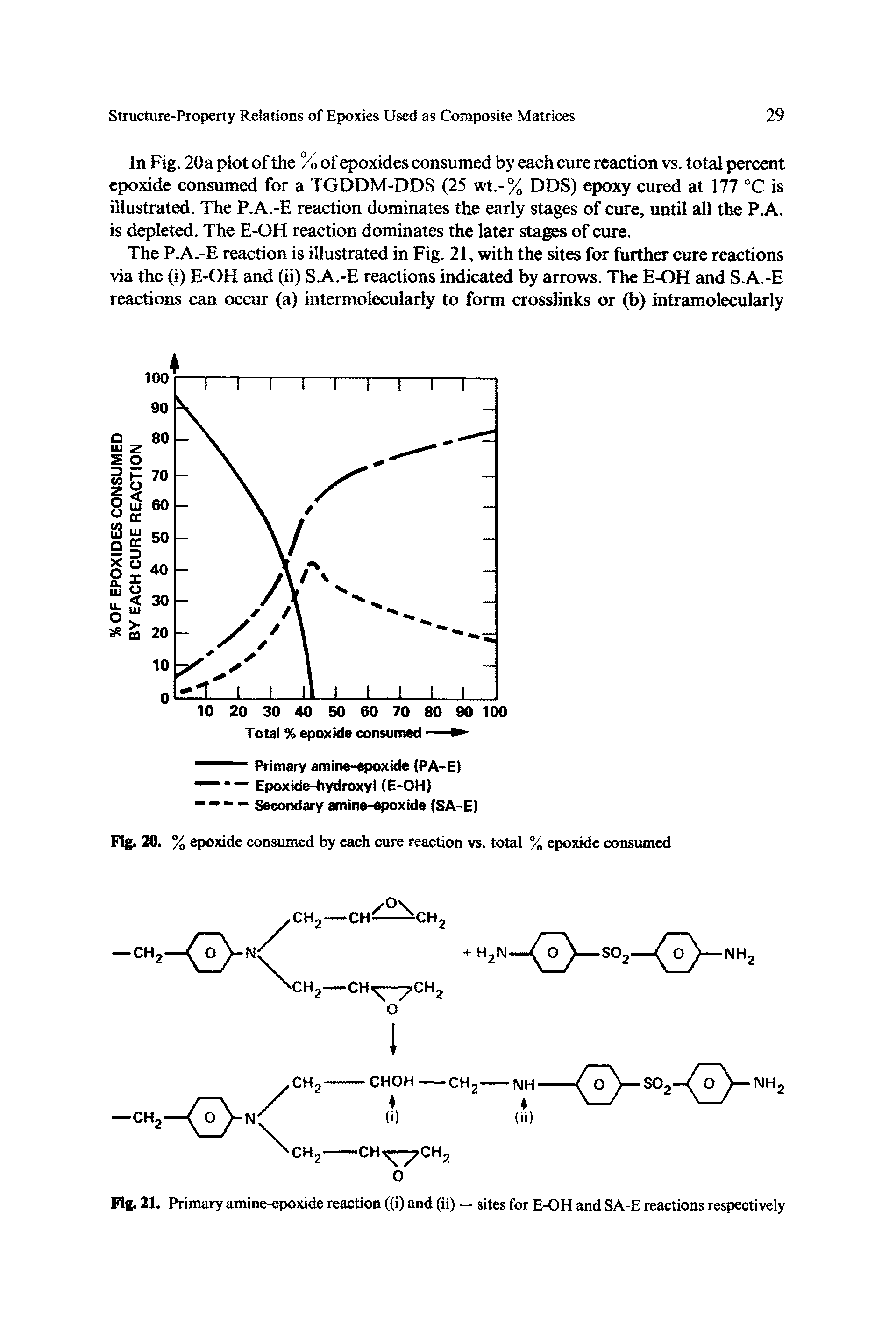 Fig. 21. Primary amine-epoxide reaction ((i) and (ii) — sites for E-OH and SA-E reactions respectively...