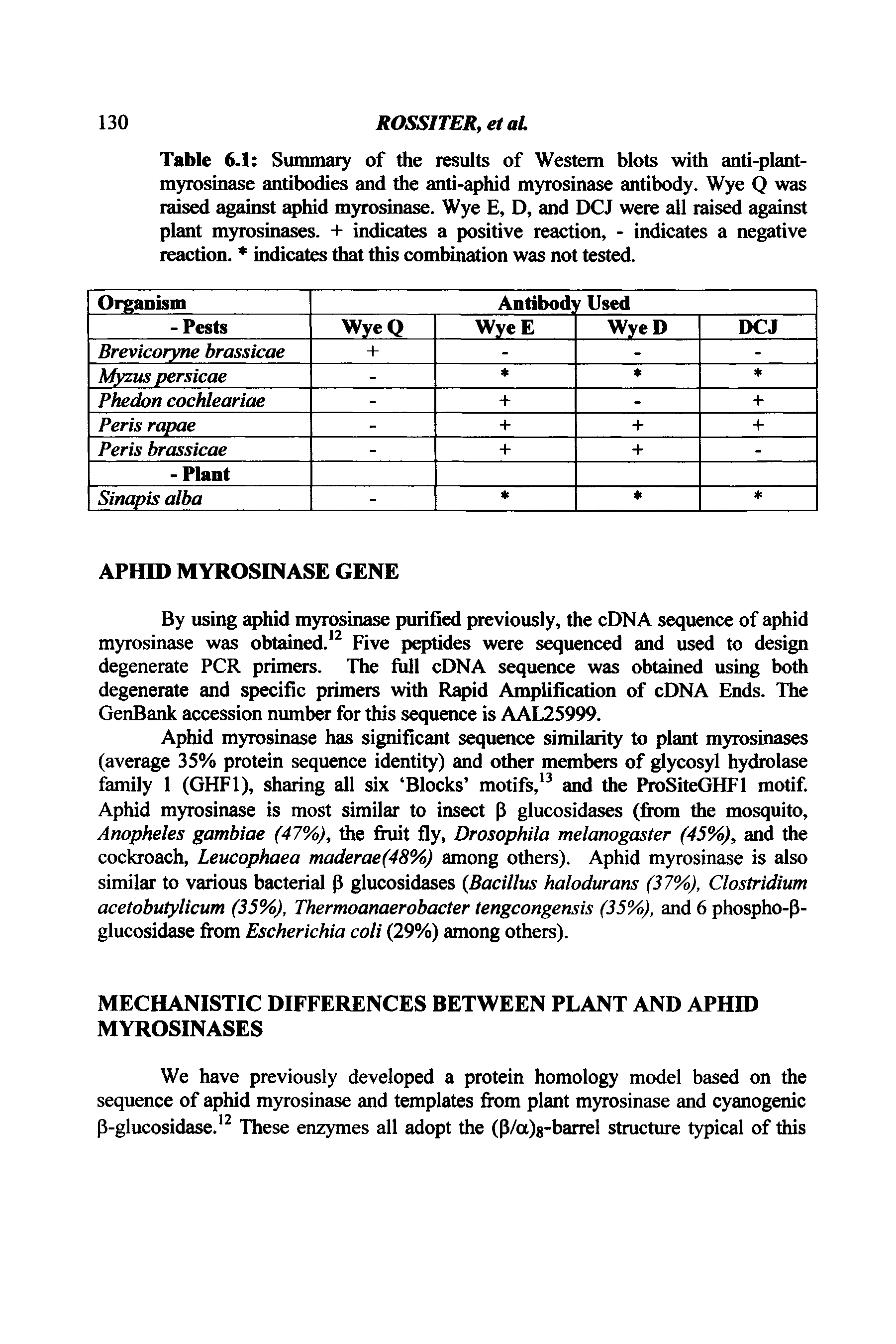 Table 6.1 Summary of the results of Western blots with anti-plant-myrosinase antibodies and the anti-aphid myrosinase antibody. Wye Q was raised against aphid myrosinase. Wye E, D, and DCJ were all raised against plant myrosinases. + indicates a positive reaction, - indicates a negative reaction. indicates that this combination was not tested.