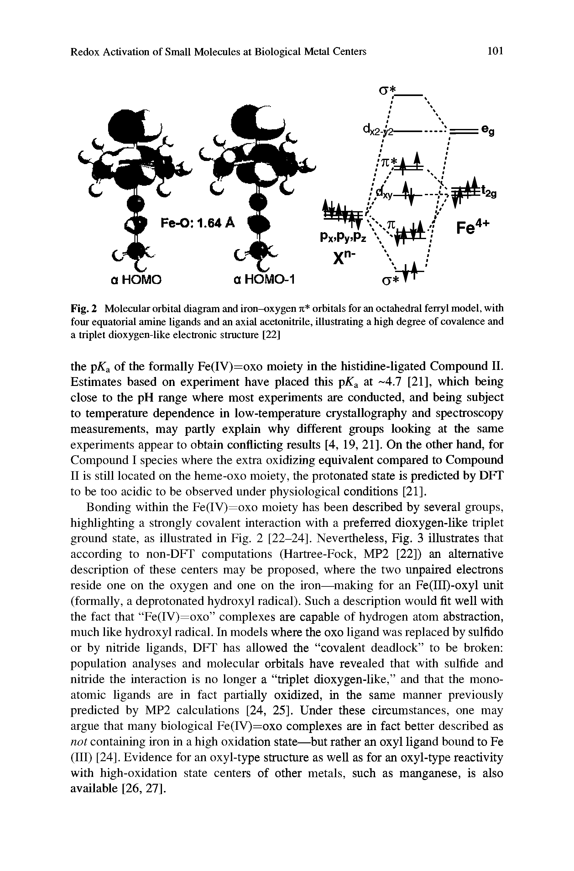 Fig. 2 Molecular orbital diagram and iron-oxygen n orbitals for an octahedral ferryl model, with four equatorial amine ligands and an axial acetonitrile, illustrating a high degree of covalence and a triplet dioxygen-like electronic structure [22]...