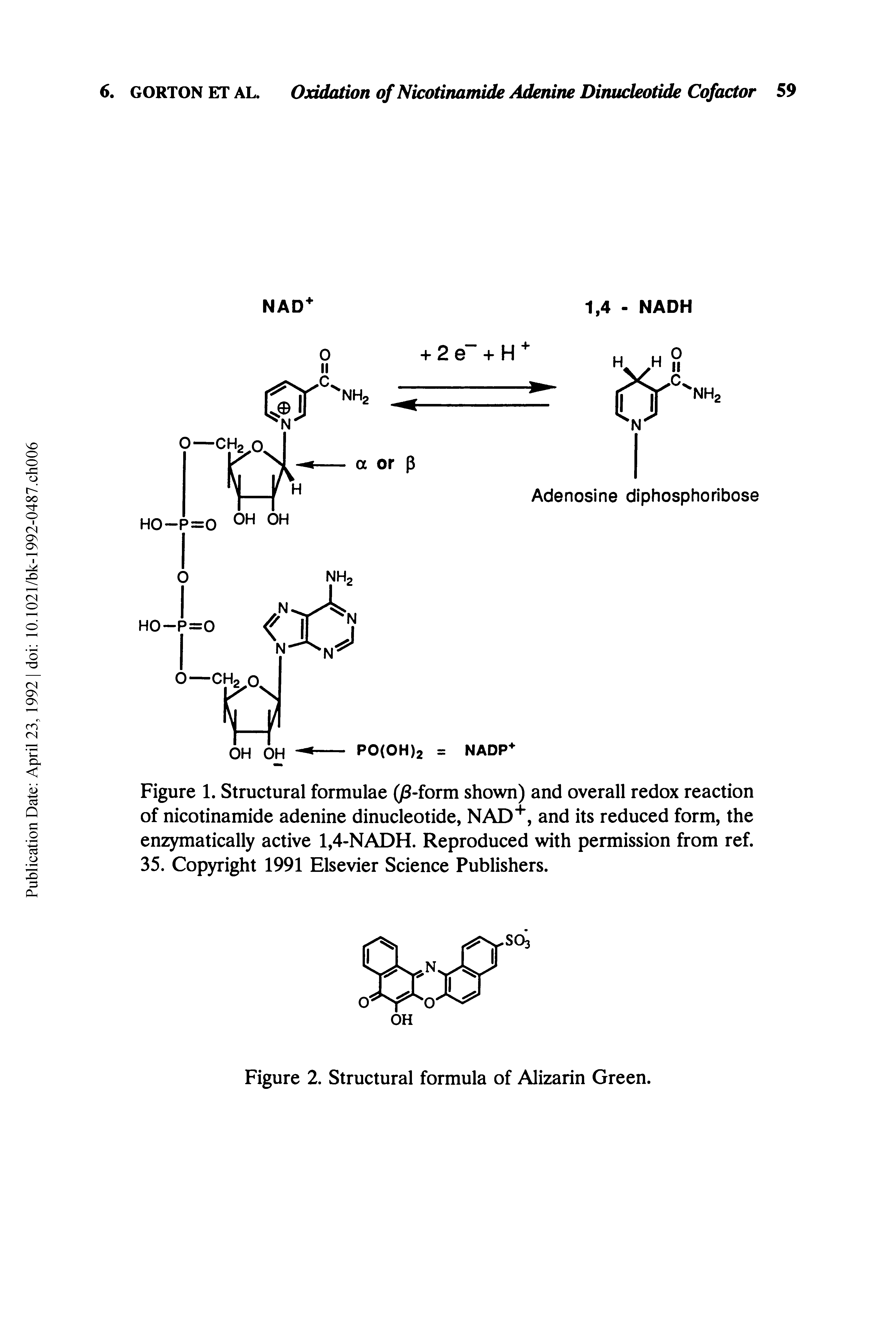 Figure 1. Structural formulae (/3-form shown) and overall redox reaction of nicotinamide adenine dinucleotide, NAD+, and its reduced form, the enzymatically active 1,4-NADH. Reproduced with permission from ref. 35. Copyright 1991 Elsevier Science Publishers.