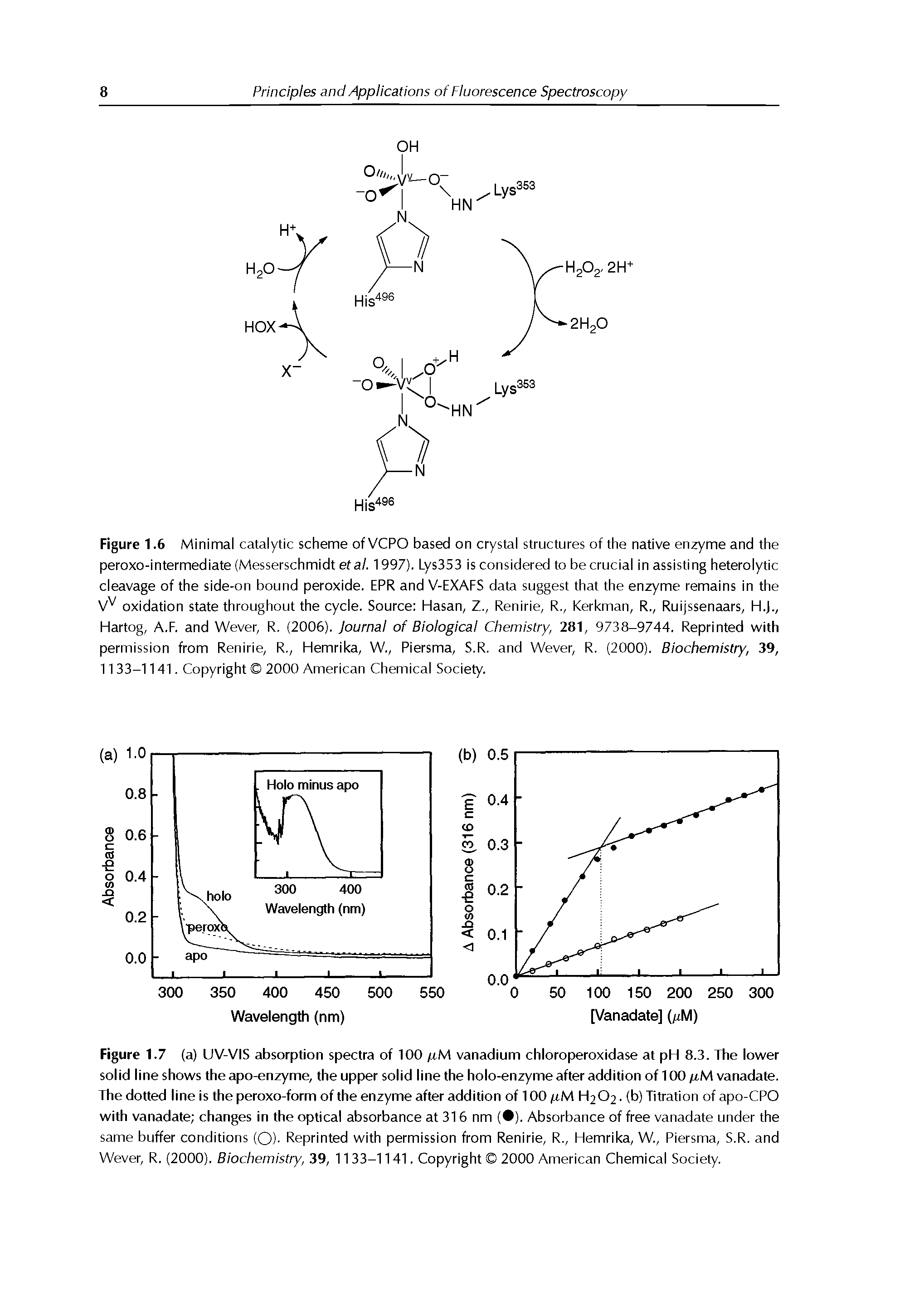 Figure 1.6 Minimal catalytic scheme of VCPO based on crystal structures of the native enzyme and the peroxo-intermediate (Messerschmidt ef a/. 1997). Lys353 is considered to be crucial in assisting heterolytic cleavage of the side-on bound peroxide. EPR and V-EXAFS data suggest that the enzyme remains in the oxidation state throughout the cycle. Source Hasan, Z., Renirie, R., Kerkman, R., Ruijssenaars, H.J., Hartog, A.F. and Wever, R. (2006). Journal of Biological Chemistry, 281, 9738-9744. Reprinted with permission from Renirie, R., Hemrika, W., Piersma, S.R. and Wever, R. (2000). Biochemistry, 39, 11 33-1141. Copyright 2000 American Chemical Society.