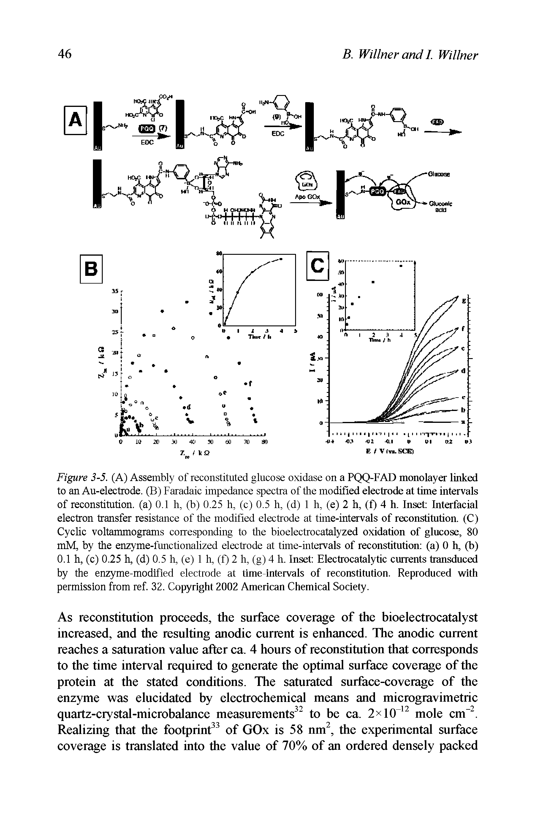 Figure 3-5. (A) Assembly of reconstituted glucose oxidase on a PQQ-FAD monolayer linked to an Au-electrode. (H i Faradaic impedance spectra of the modified electrode at time intervals of reconstitution, (a) 0.1 h, (b) 0.25 h. (c) 0.5 h. (d) 1 h. (e) 2 h, (f) 4 h. Inset Interfacial electron transfer resistance of the modified electrode at time-intervals of reconstitution. (C) Cyclic voltammograms corresponding to the bioelectrocatalyzed oxidation of glucose, 80 mM, by the enzyme-functionalized electrode at time-intervals of reconstitution (a) 0 h, (b) 0.1 h, (c) 0.25 h, (d) 0.5 h, (e) 1 h, (f) 2 h, (g) 4 h. Inset Electrocatalytic currents transduced by the enzyme-modified electrode at time-intervals of reconstitution. Reproduced with permission from ref. 32. Copyright 2002 American Chemical Society.