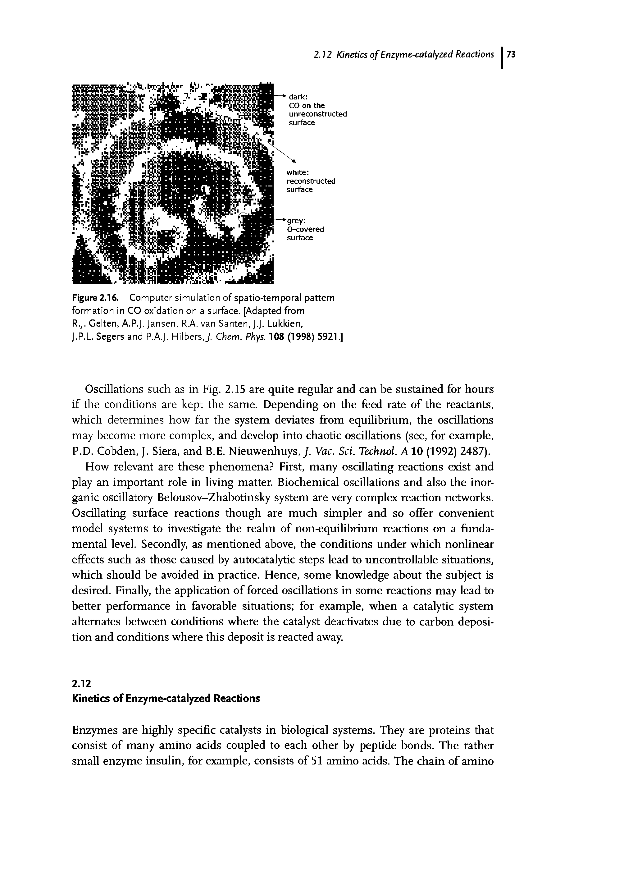 Figure 2.16. Computer simulation of spatio-temporal pattern formation in CO oxidation on a surface. [Adapted from R.J. Celten, A.P.J. Jansen, R.A. van Santen, j.j. Lukkien, j.P.L Segers and P.A.j. Hilbers,j. Chem. Phys. 108 (1998) 5921.]...