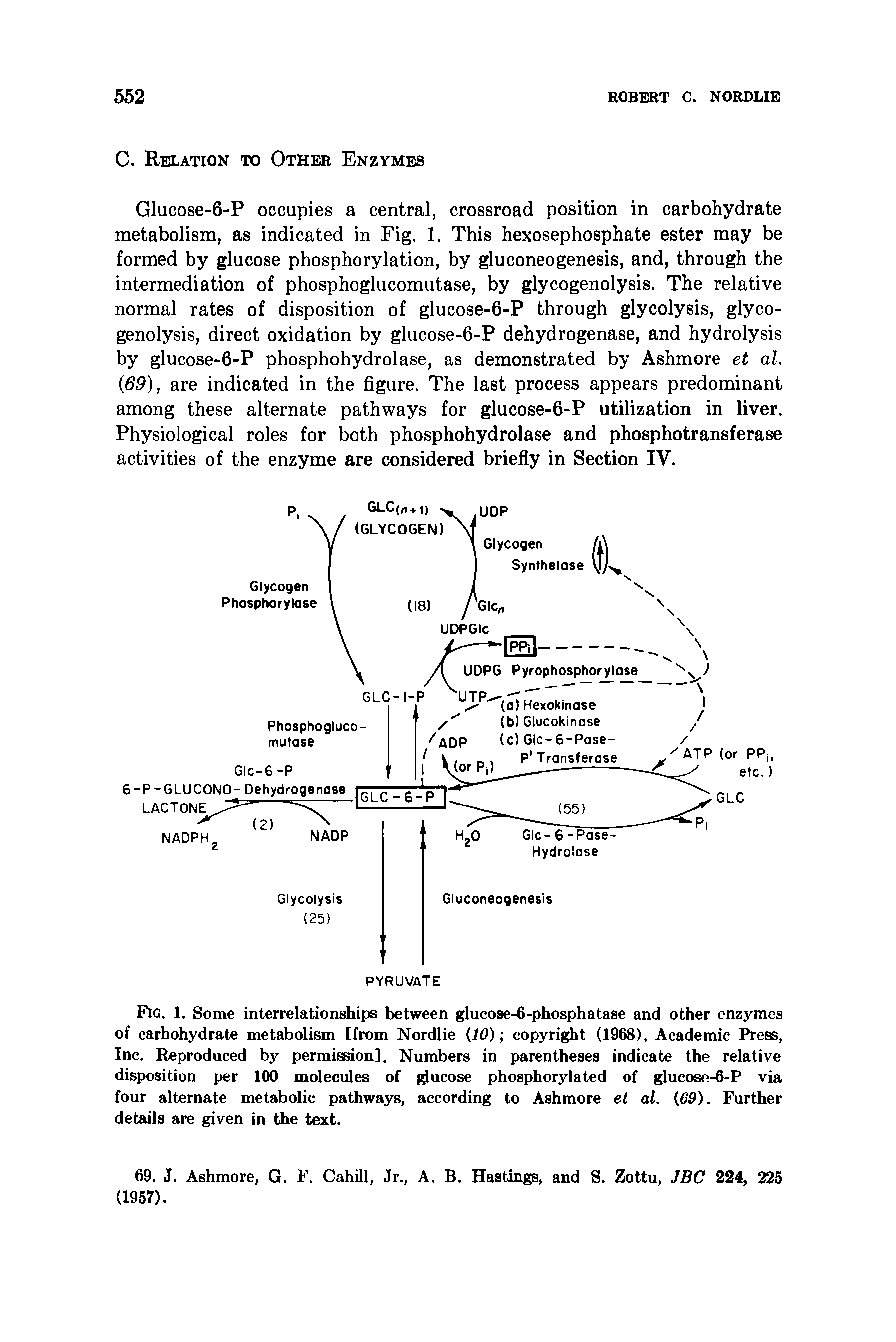 Fig. 1. Some interrelationships between glucose-6-phosphatase and other enzymes of carbohydrate metabolism [from Nordlie (10) copyright (1968), Academic Press, Inc. Reproduced by permission]. Numbers in parentheses indicate the relative disposition per 100 molecules of glucose phosphorylated of glucose-6-P via four alternate metabolic pathways, according to Ashmore et al. (69). Further details are given in the text.