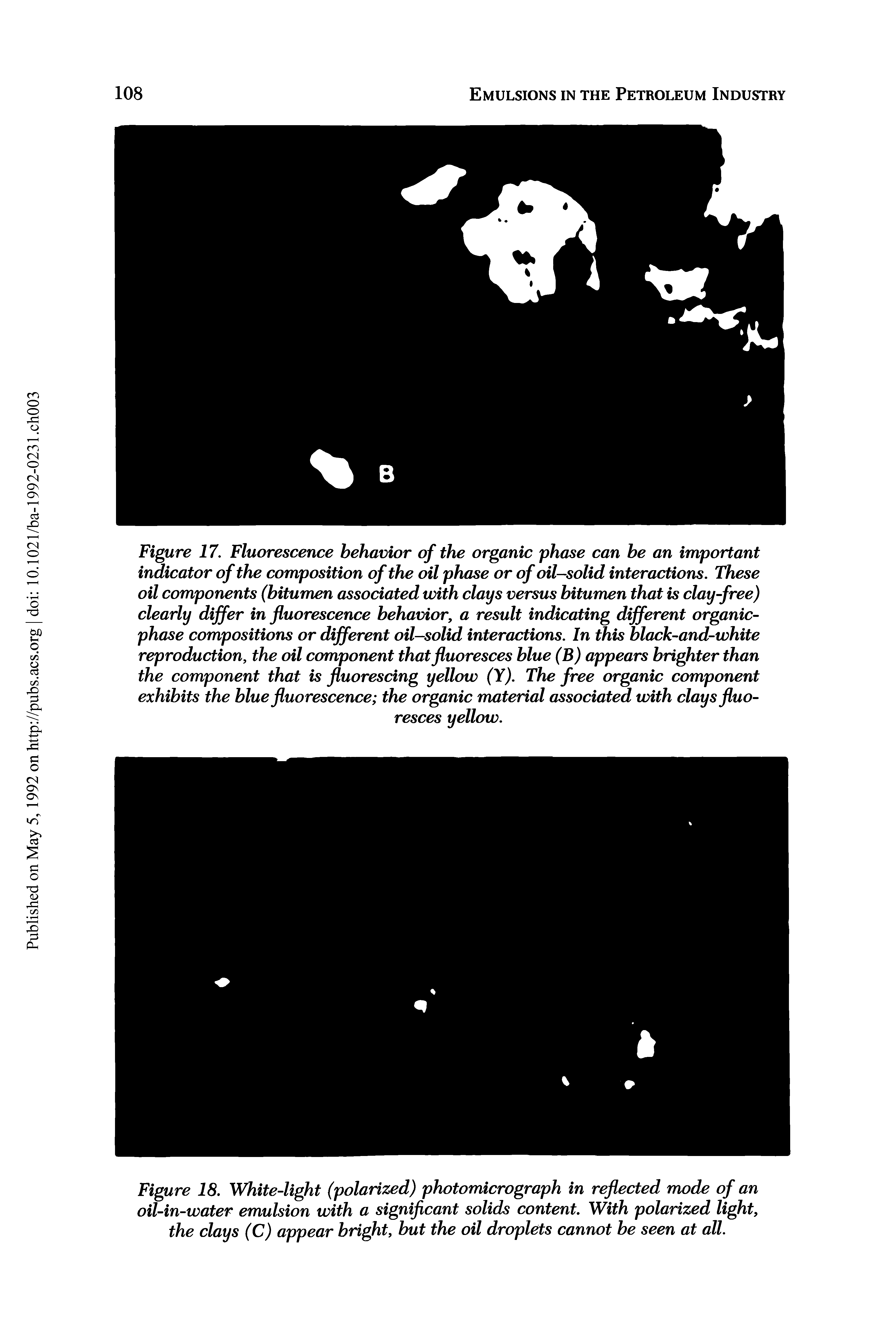 Figure 18. White-light (polarized) photomicrograph in reflected mode of an oil-in-water emulsion with a significant solids content. With polarized light, the clays (C) appear bright, but the oil droplets cannot be seen at all.