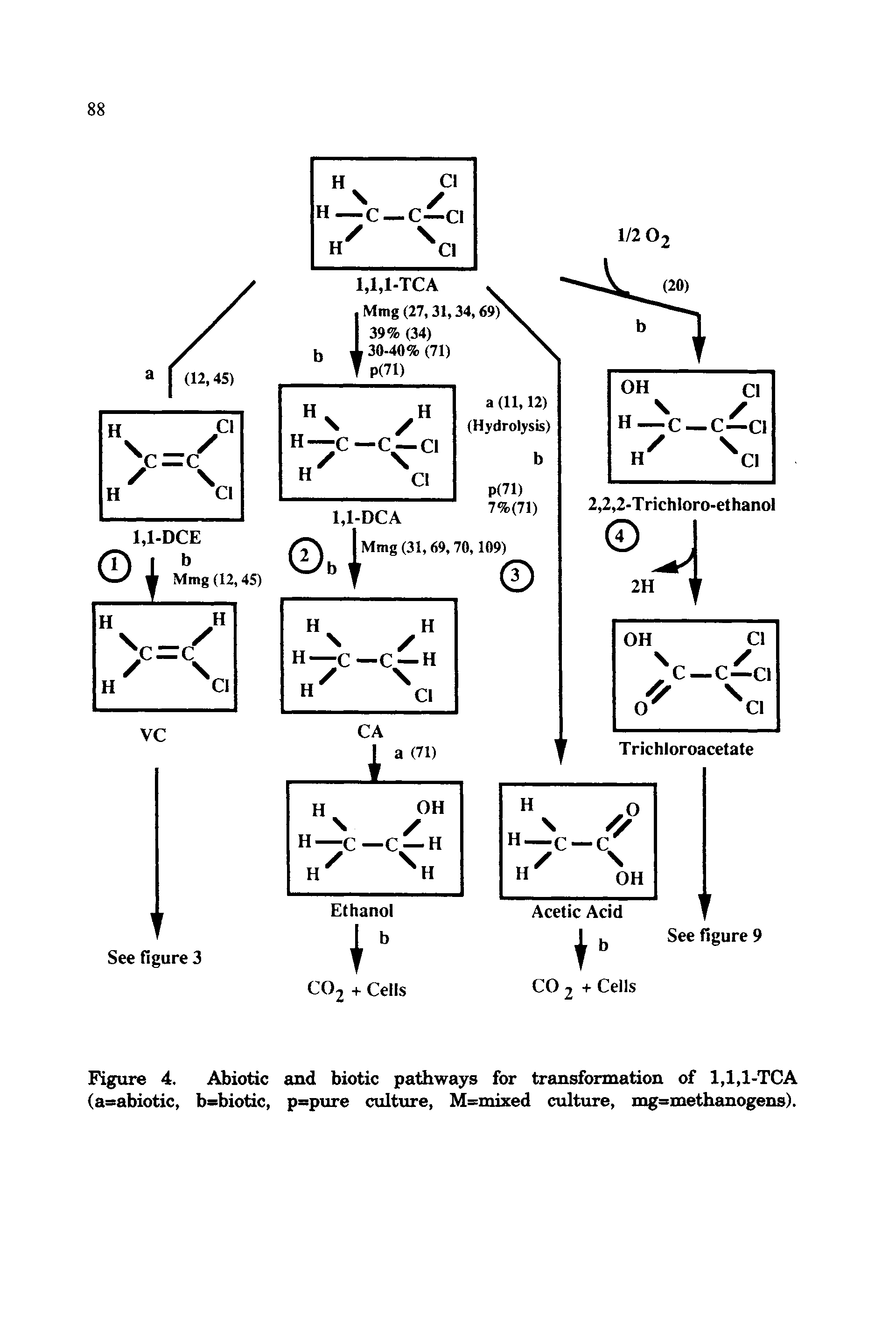 Figure 4. Abiotic and biotic pathways for transformation of 1,1,1-TCA (a=abiotic, b=biotic, p=pure culture, M=mixed culture, mg=methanogens).