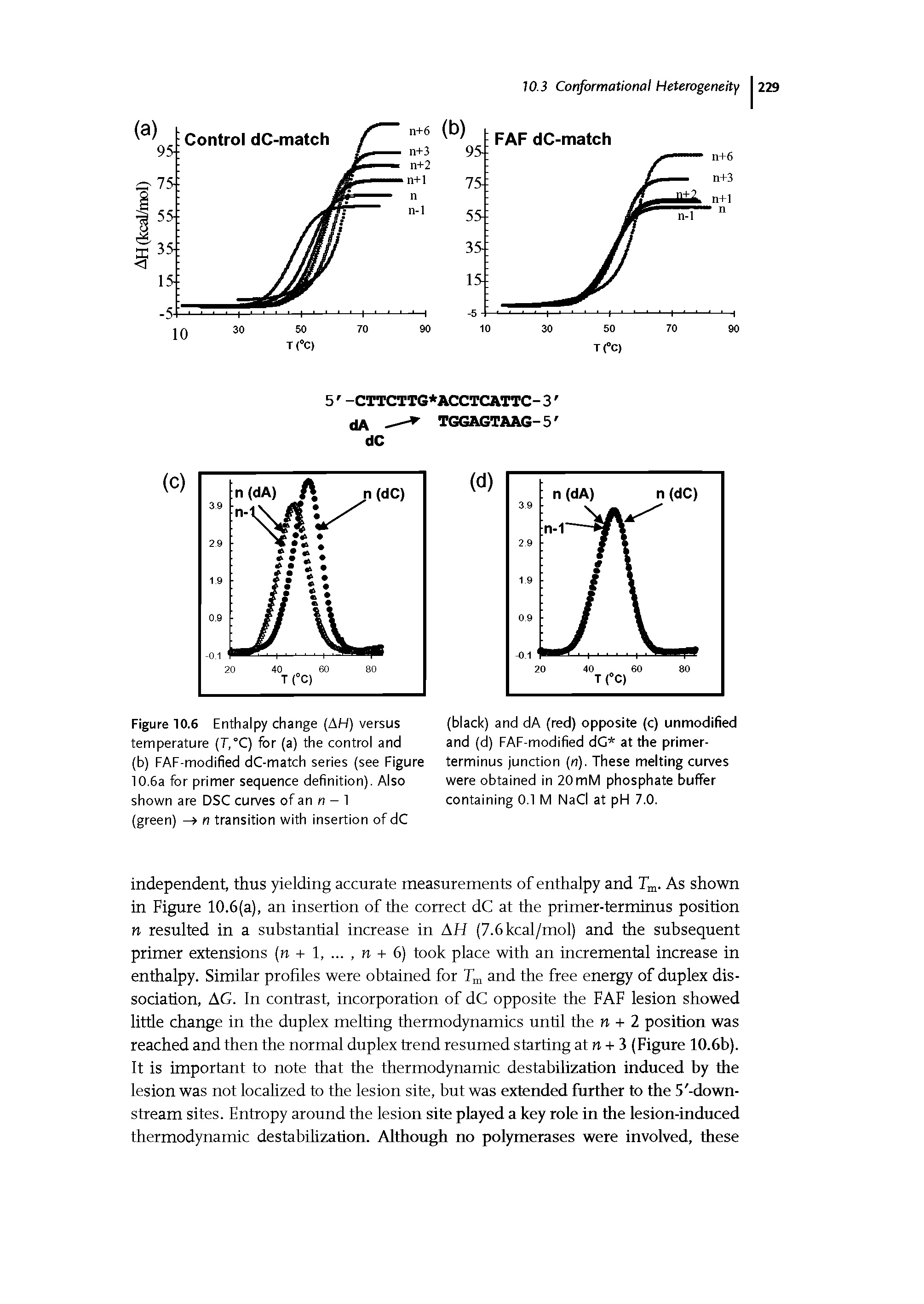 Figure 10.6 Enthalpy change (AH) versus temperature (7",°C) for (a) the control and (b) FAF-modified dC-match series (see Figure 10.6a for primer sequence definition). Also shown are DSC curves of an n - 1 (green) -> n transition with insertion of dC...