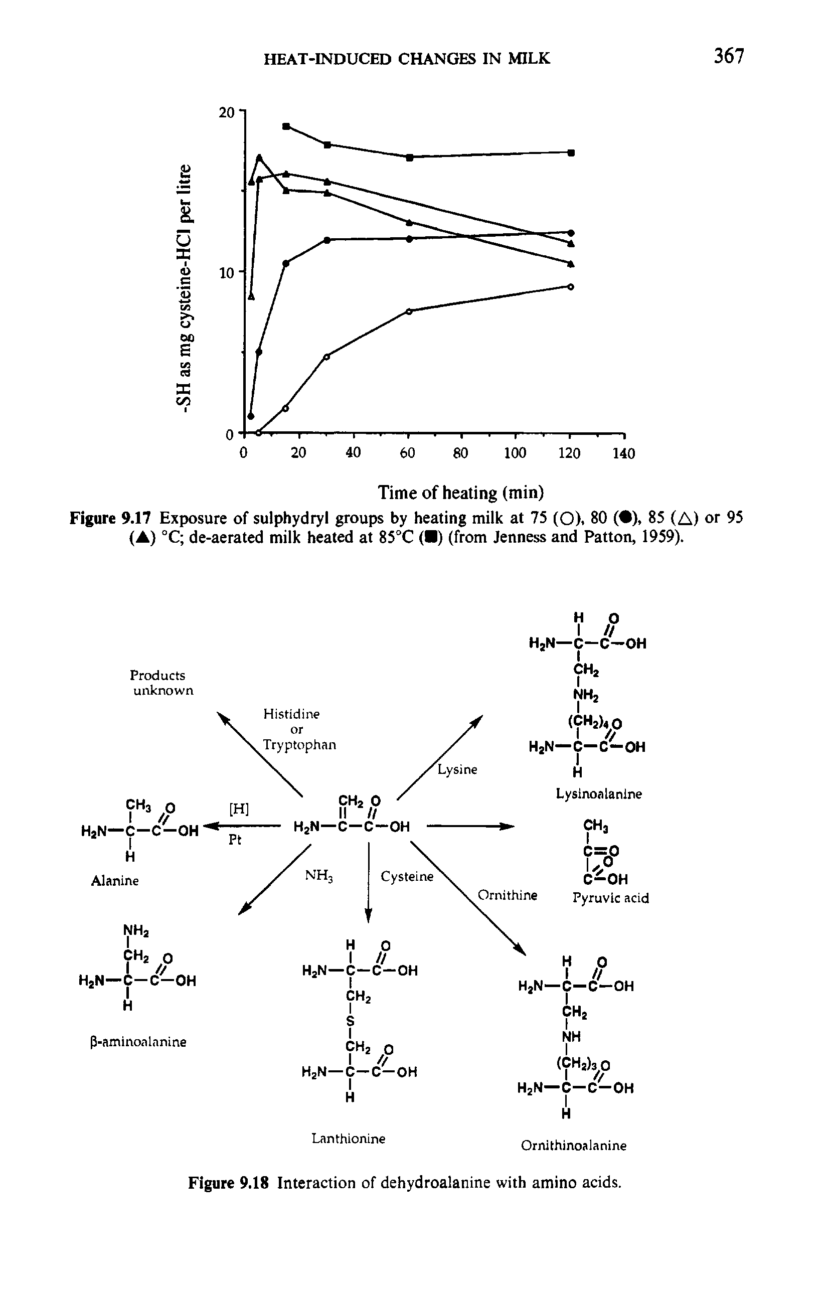 Figure 9.17 Exposure of sulphydryl groups by heating milk at 75 (O). 80 ( ), 85 (A) or 95 (A) °C de-aerated milk heated at 85°C ( ) (from Jenness and Patton, 1959).