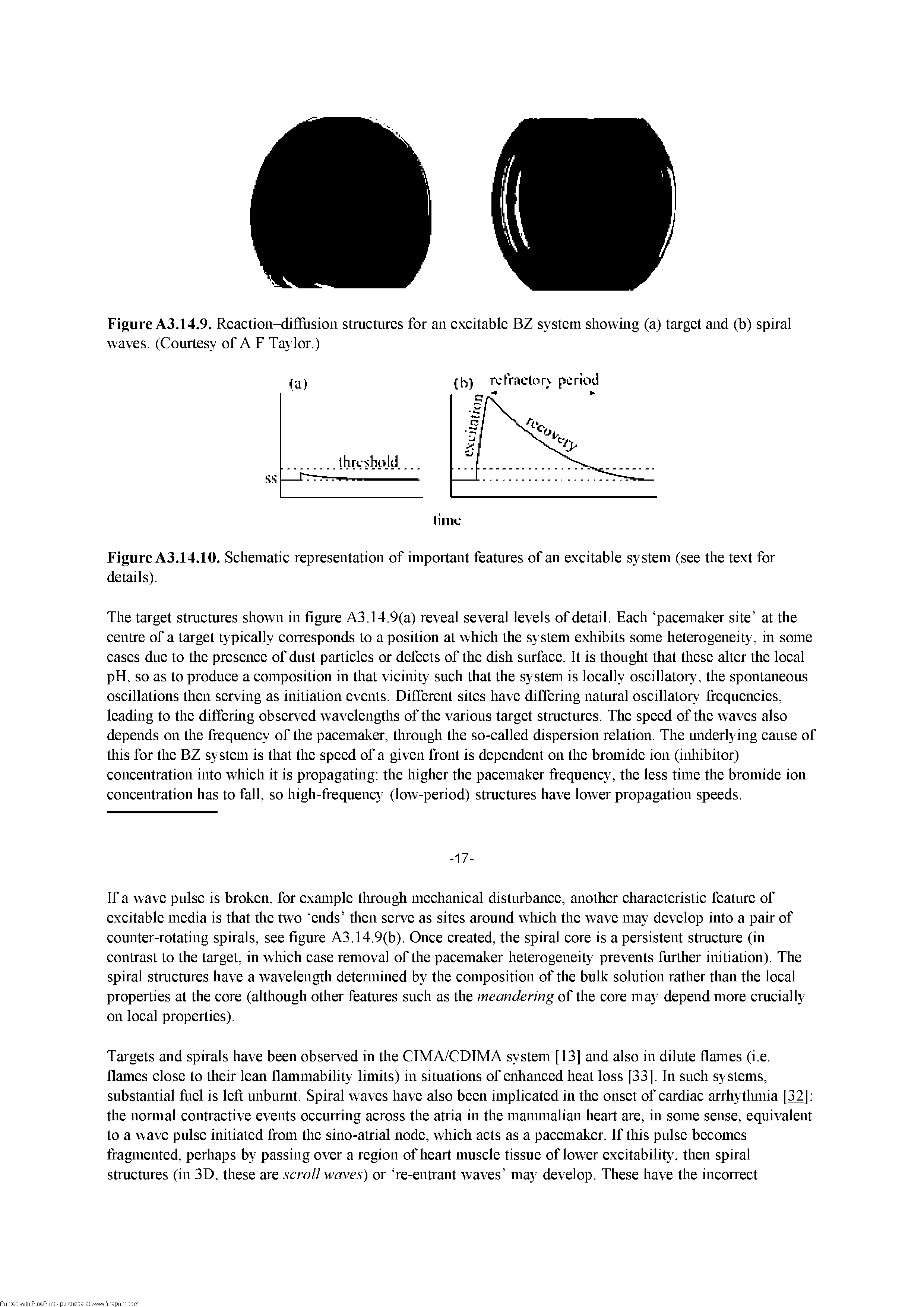 Figure A3.14.9. Reaction-diflfiision structures for an excitable BZ system showing (a) target and (b) spiral waves. (Courtesy of A F Taylor.)...