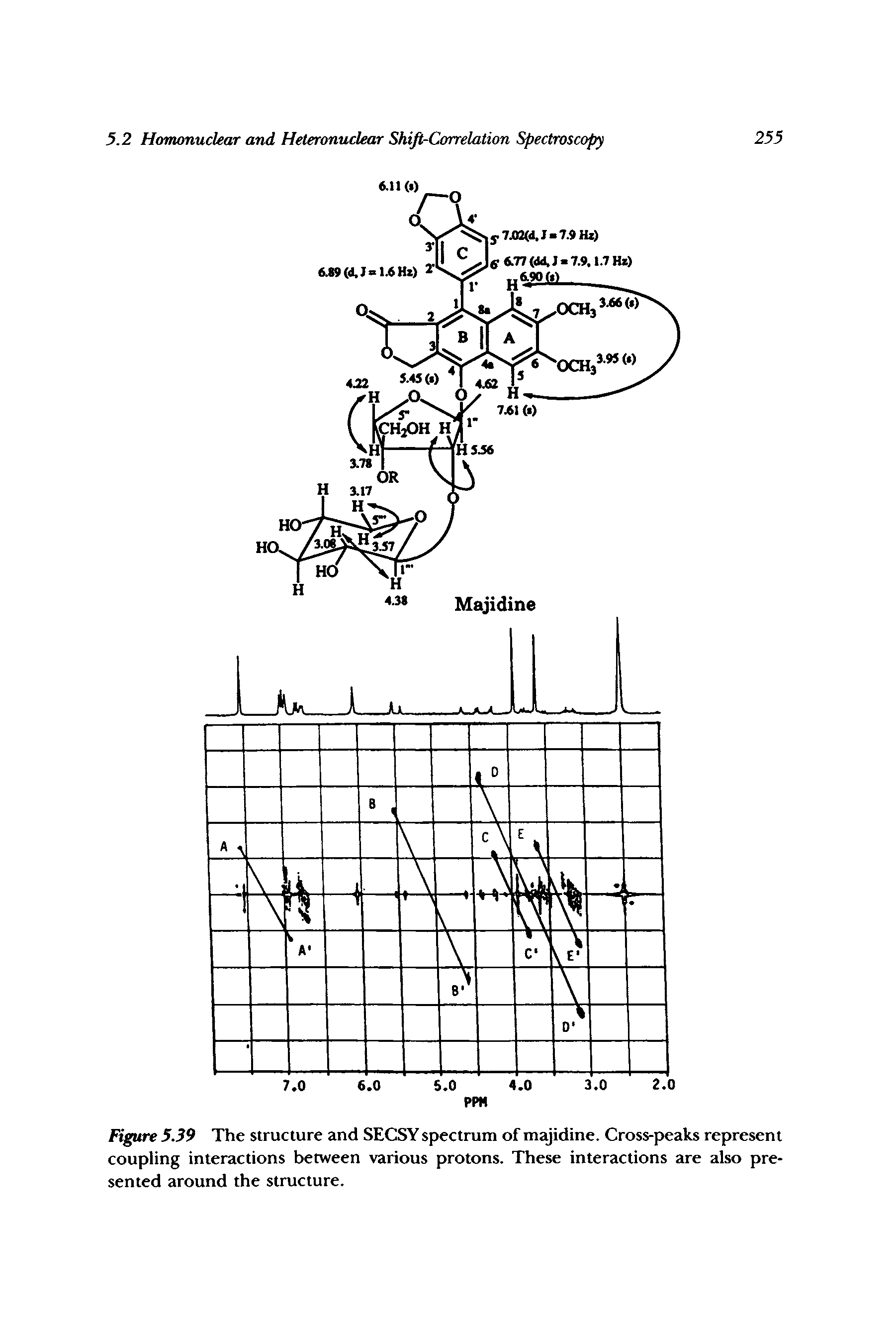 Figure 539 The structure and SECSY spectrum of majidine. Cross-peaks represent...