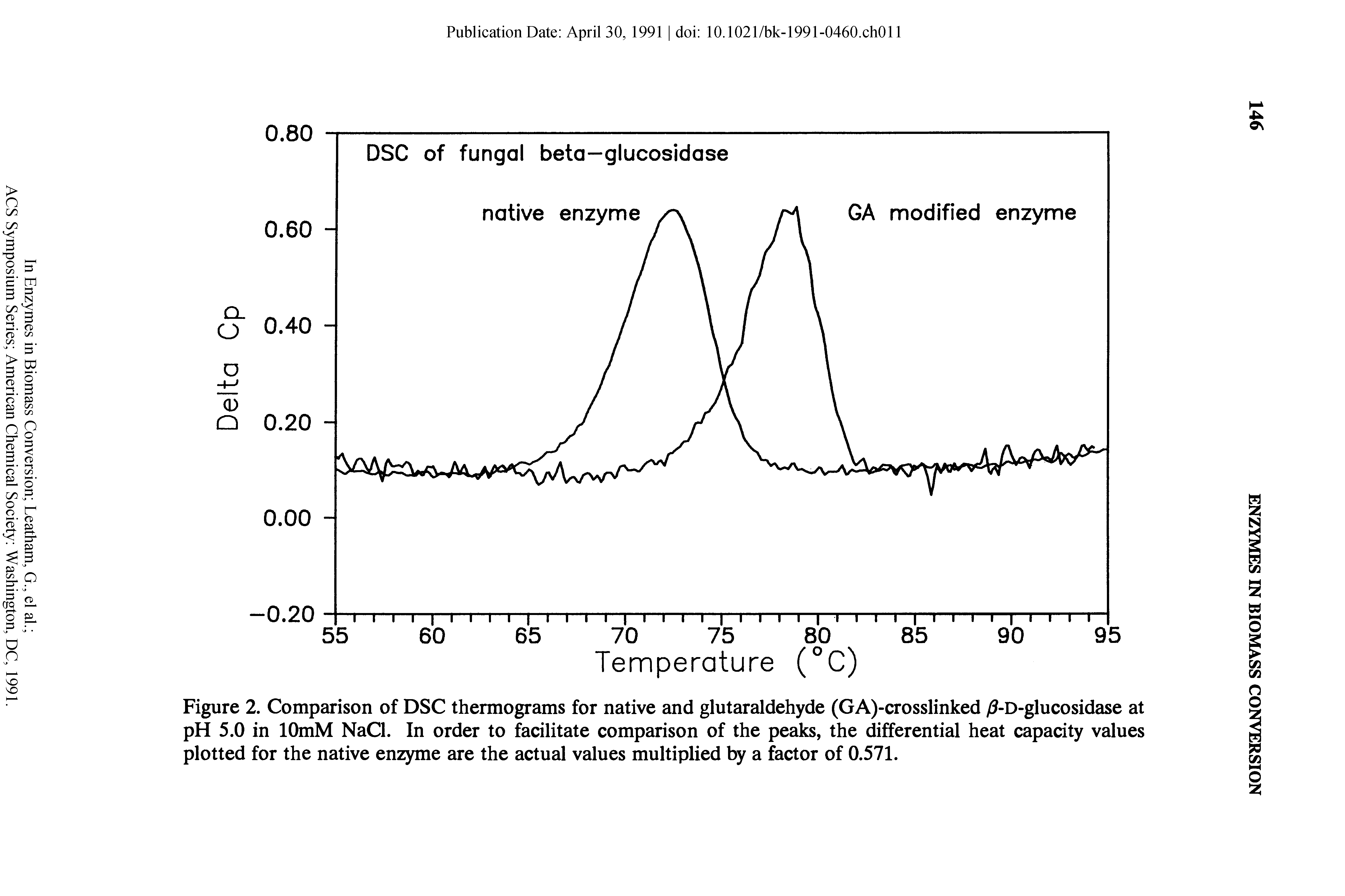Figure 2. Comparison of DSC thermograms for native and glutaraldehyde (GA)-crosslinked / -D-glucosidase at pH 5.0 in lOmM NaCl. In order to facilitate comparison of the peaks, the differential heat capacity values plotted for the native enzyme are the actual values multiplied by a fector of 0.571.