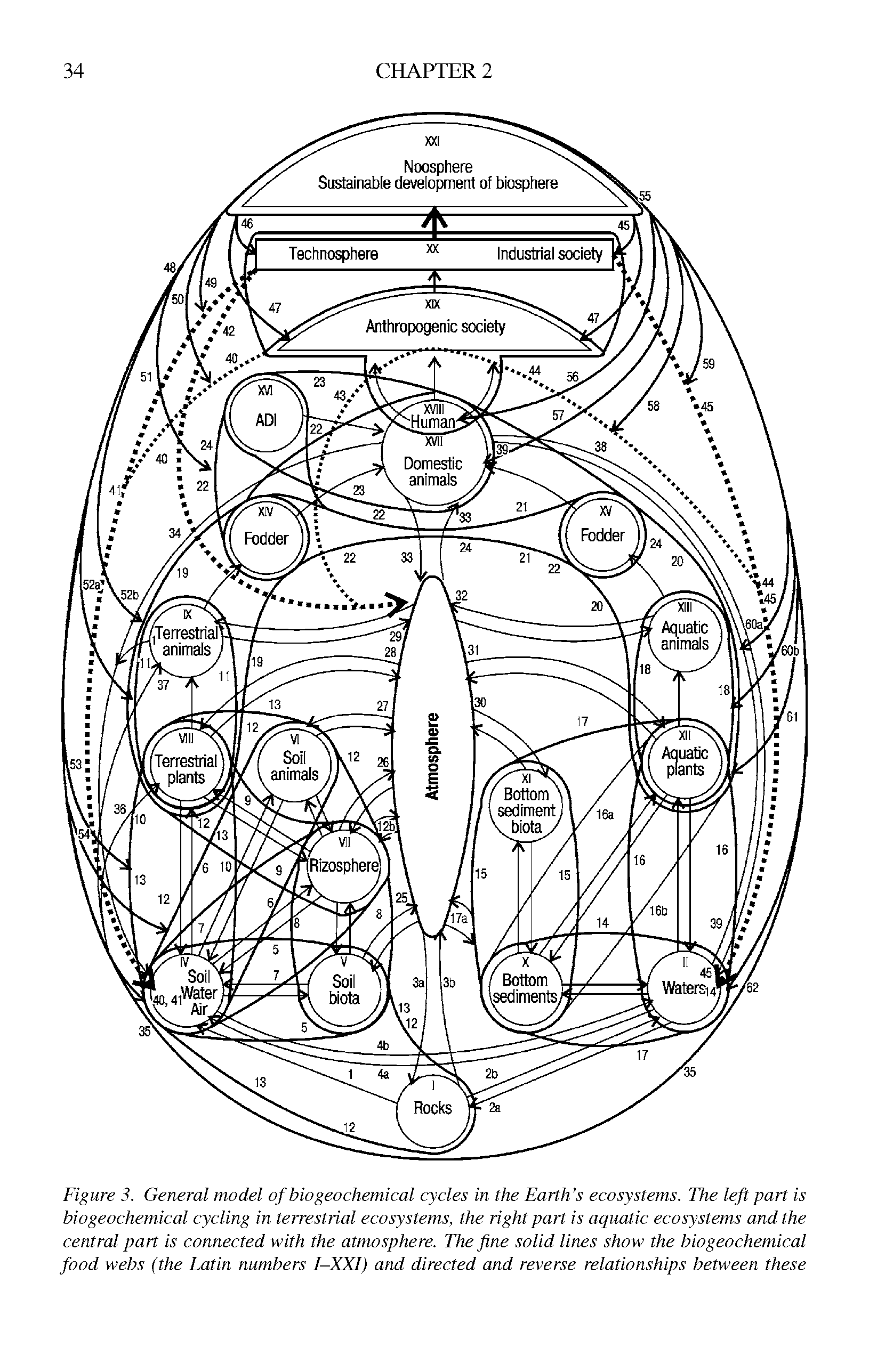 Figure 3. General model of bio geo chemical cycles in the Earth s ecosystems. The left part is bio geochemical cycling in terrestrial ecosystems, the right part is aquatic ecosystems and the central part is connected with the atmosphere. The fine solid lines show the biogeochemical food webs (the Latin numbers I-XXI) and directed and reverse relationships between these...