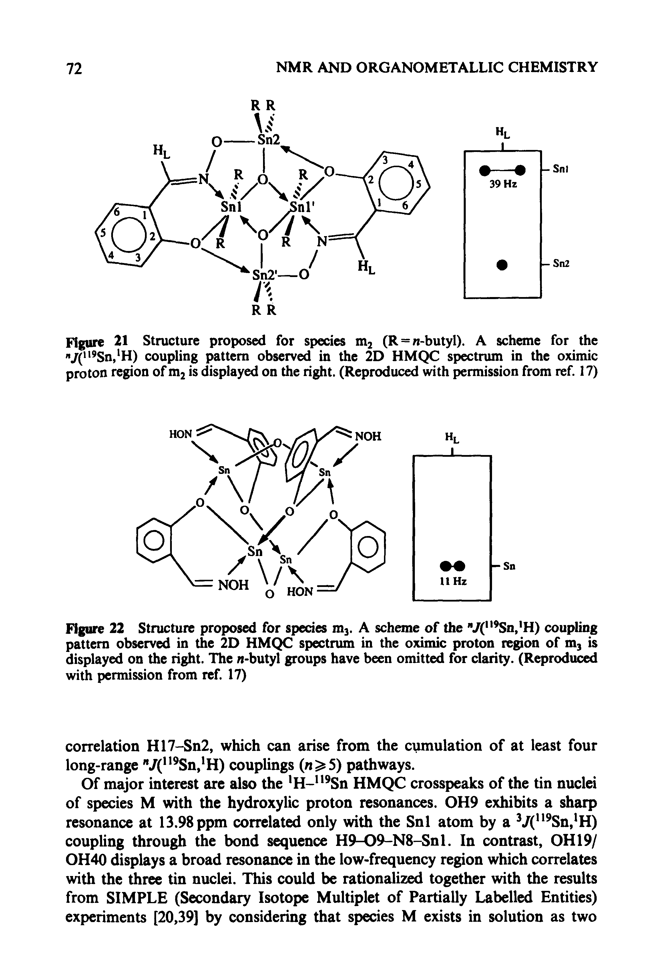 Figure 21 Structure proposed for species m2 (R = n-butyl). A scheme for the "7( Sn, H) coupling pattern observed in the 2D HMQC spectrum in the oximic proton region of m2 is displayed on the right. (Reproduced with permission from ref. 17)...