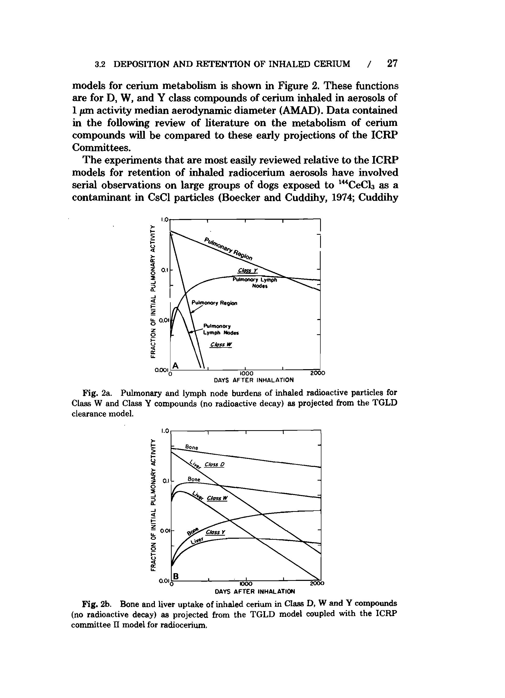 Fig. 2a. Pulmonary and lymph node burdens of inhaled radioactive particles for Class W and Class Y compounds (no radioactive decay) as projected from the TGLD clearance model.