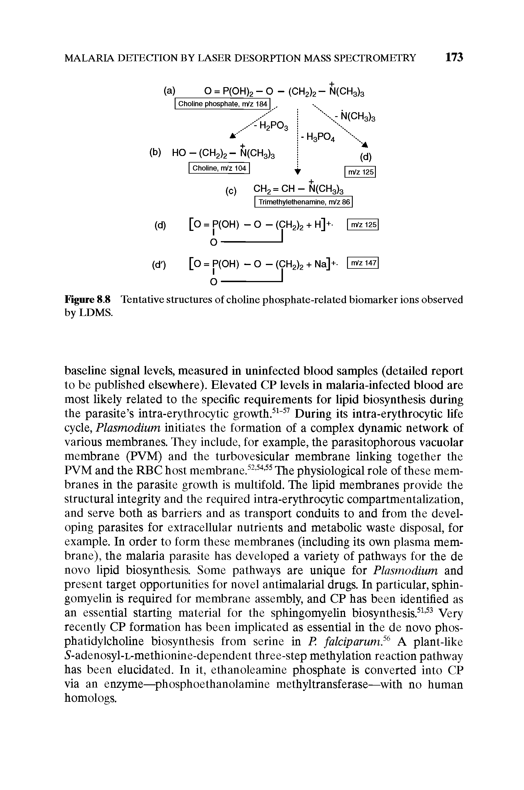 Figure 8.8 Tentative structures of choline phosphate-related biomarker ions observed by LDMS.