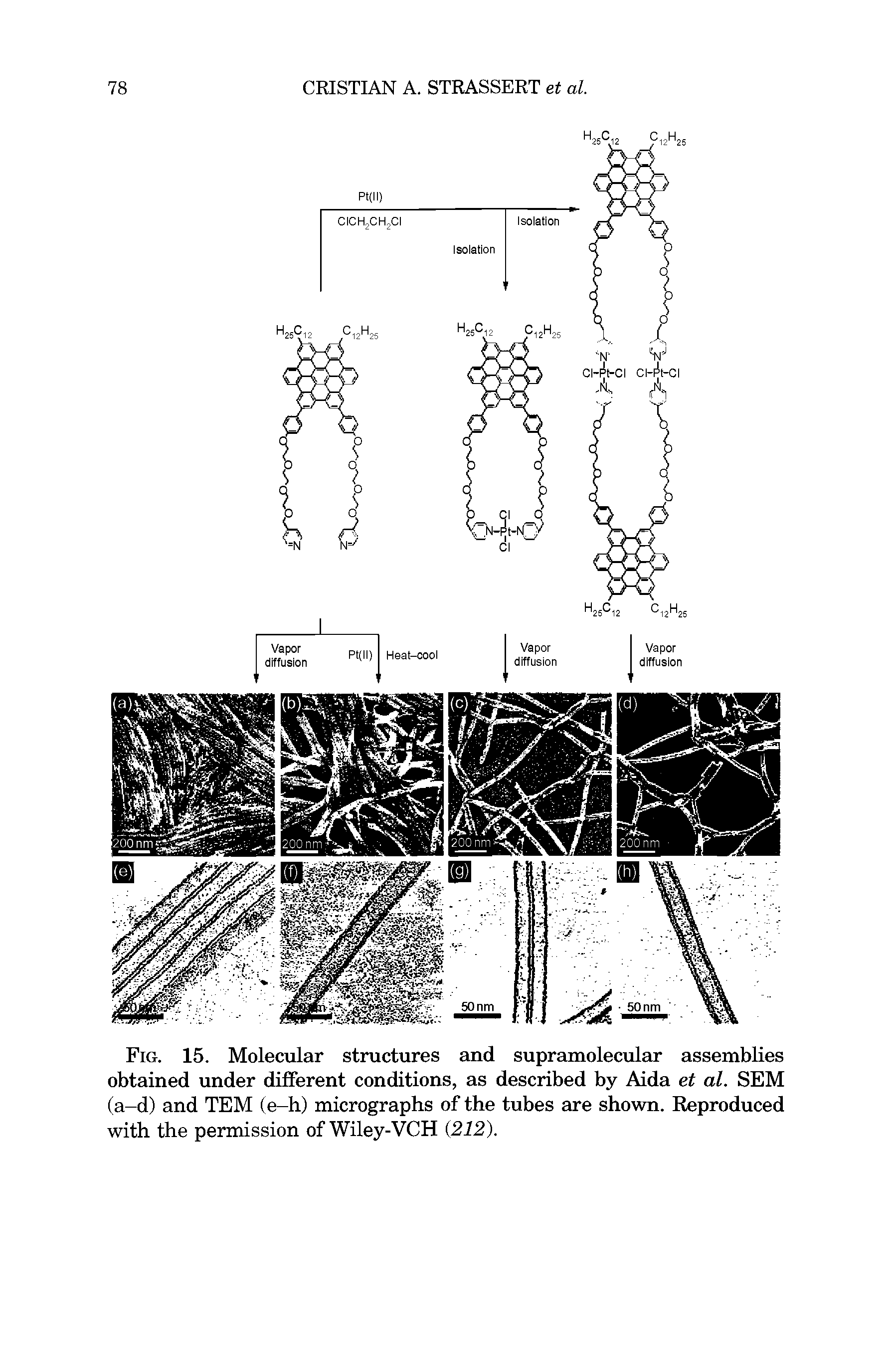 Fig. 15. Molecular structures and supramolecular assemblies obtained under different conditions, as described by Aida et al. SEM (a-d) and TEM (e-h) micrographs of the tubes are shown. Reproduced with the permission of Wiley-VCH 212).