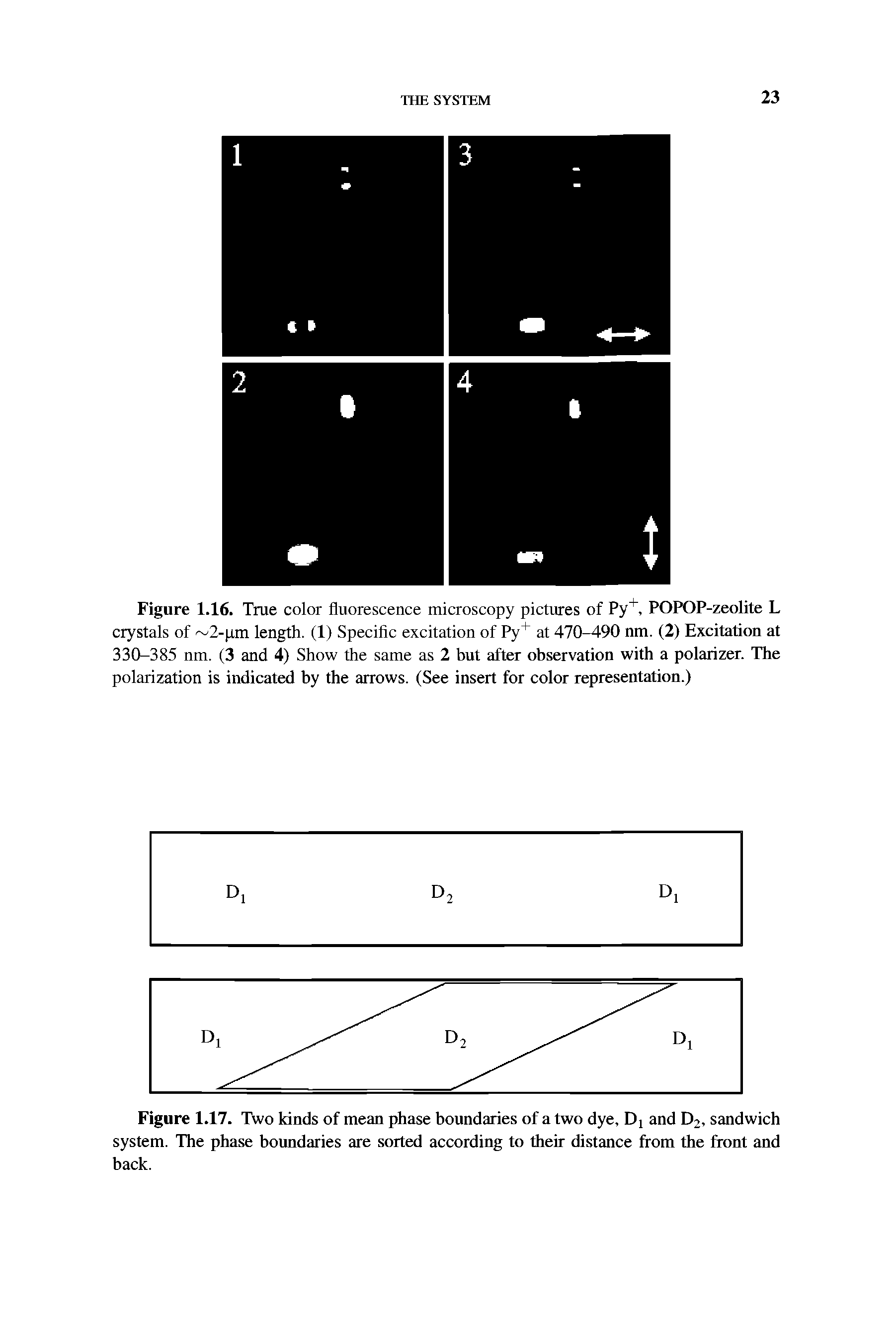 Figure 1.16. True color fluorescence microscopy pictures of Py+, POPOP-zeolite L crystals of 2-pm length. (1) Specific excitation of Py+ at 470-490 nm. (2) Excitation at 330-385 nm. (3 and 4) Show the same as 2 but after observation with a polarizer. The polarization is indicated by the arrows. (See insert for color representation.)...