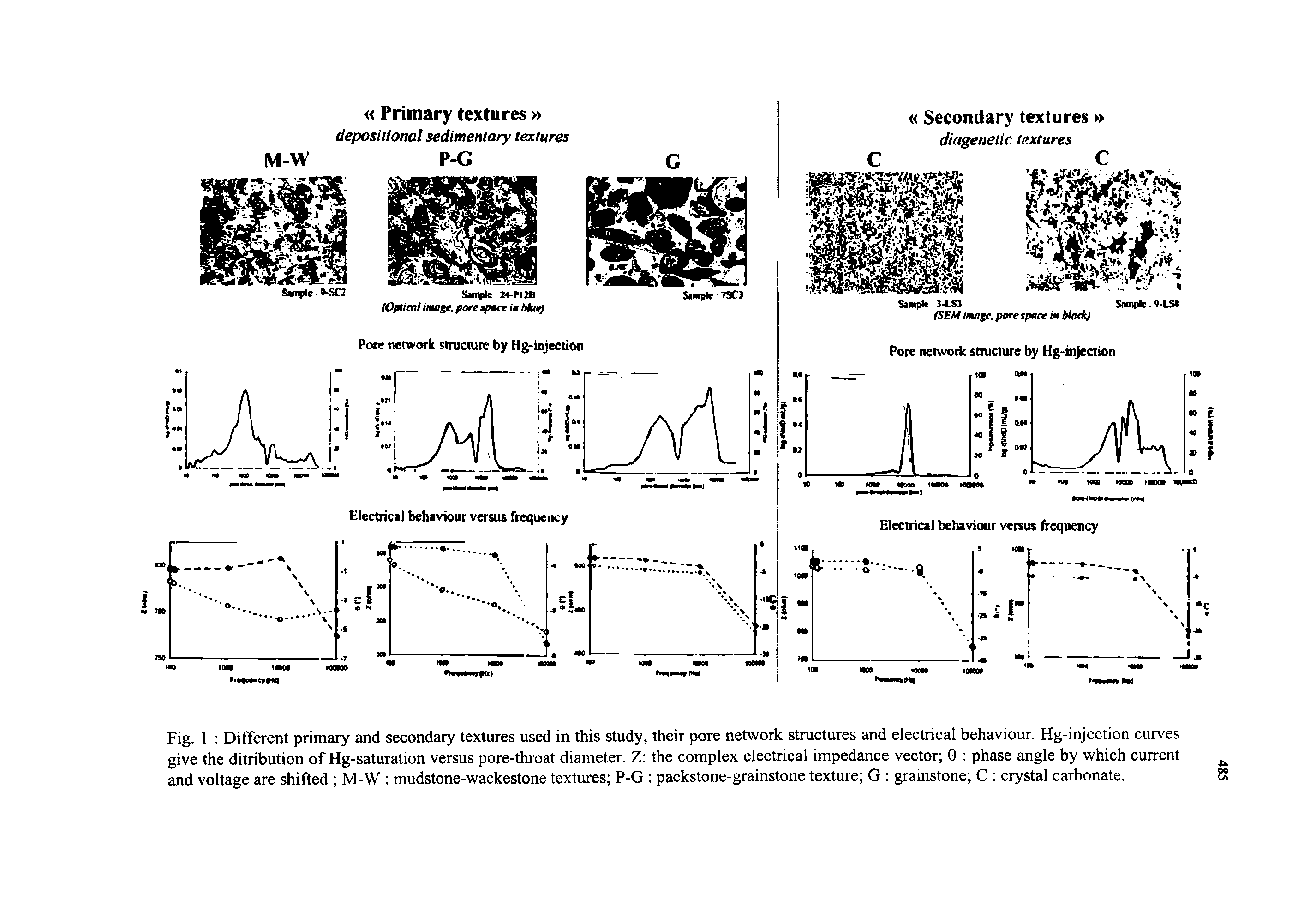 Fig. 1 Different primary and secondary textures used in this study, their pore network structures and electrical behaviour. Hg-injection curves give the ditribution of Hg-saturation versus pore-throat diameter. Z the complex electrical impedance vector 9 phase angle by which current and voltage are shifted M-W mudstone-wackestone textures P-G packstone-grainstone texture G grainstone C crystal carbonate.